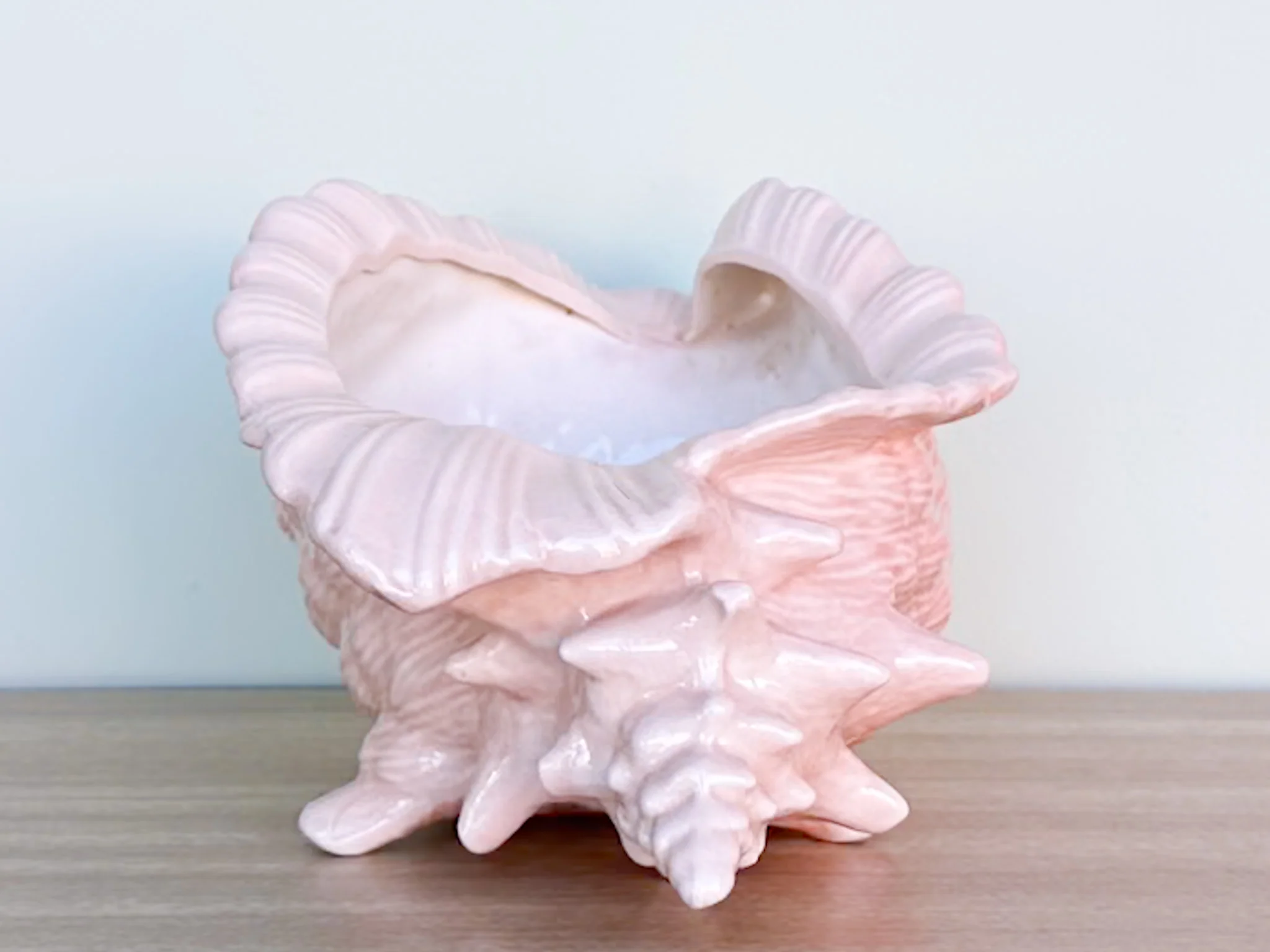 Peach Conch Shell Cachepot - Image 4