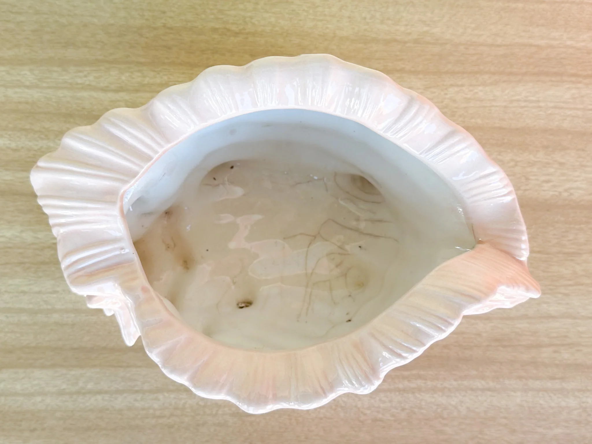 Peach Conch Shell Cachepot - Image 5