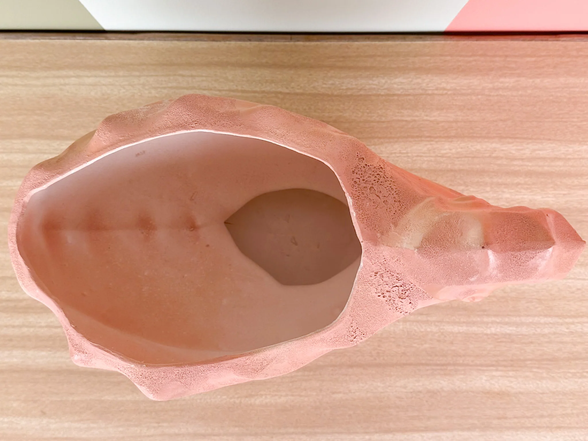 Peach Nautilus Shell Cachepot - Image 6