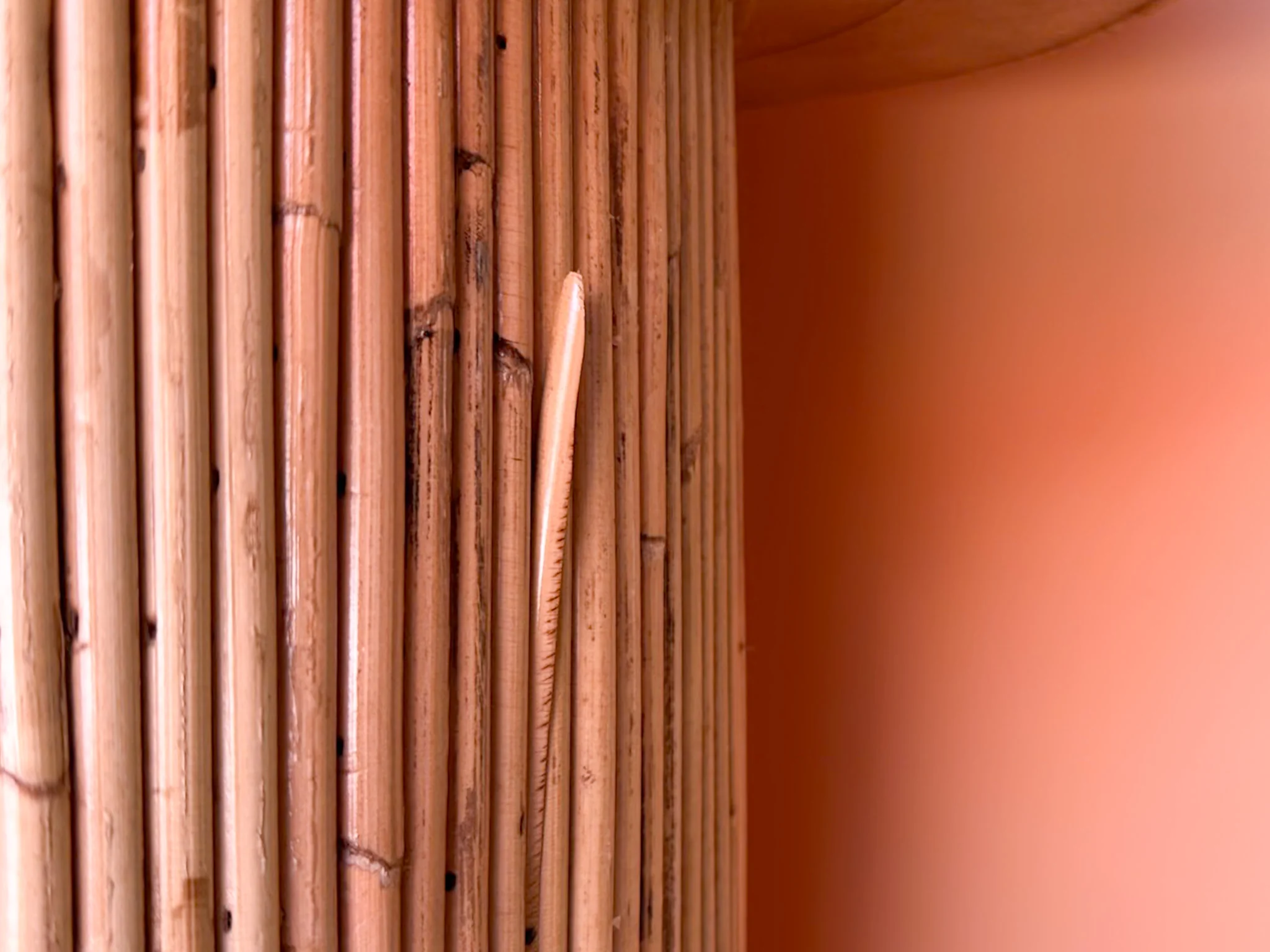 Pencil Reed Rattan Bar - Image 8