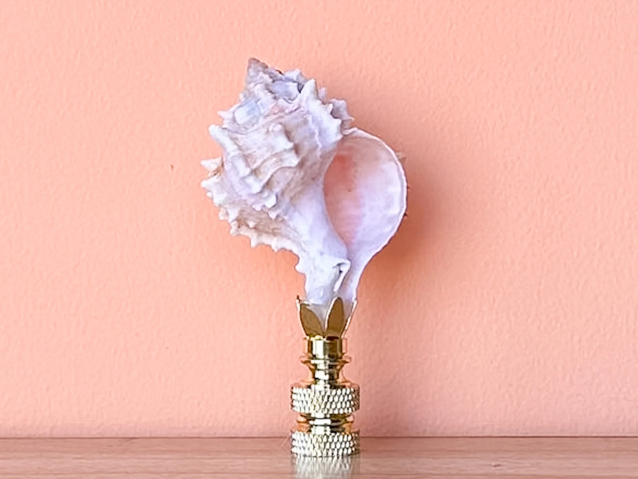 Petite Murex Natural Shell Finial