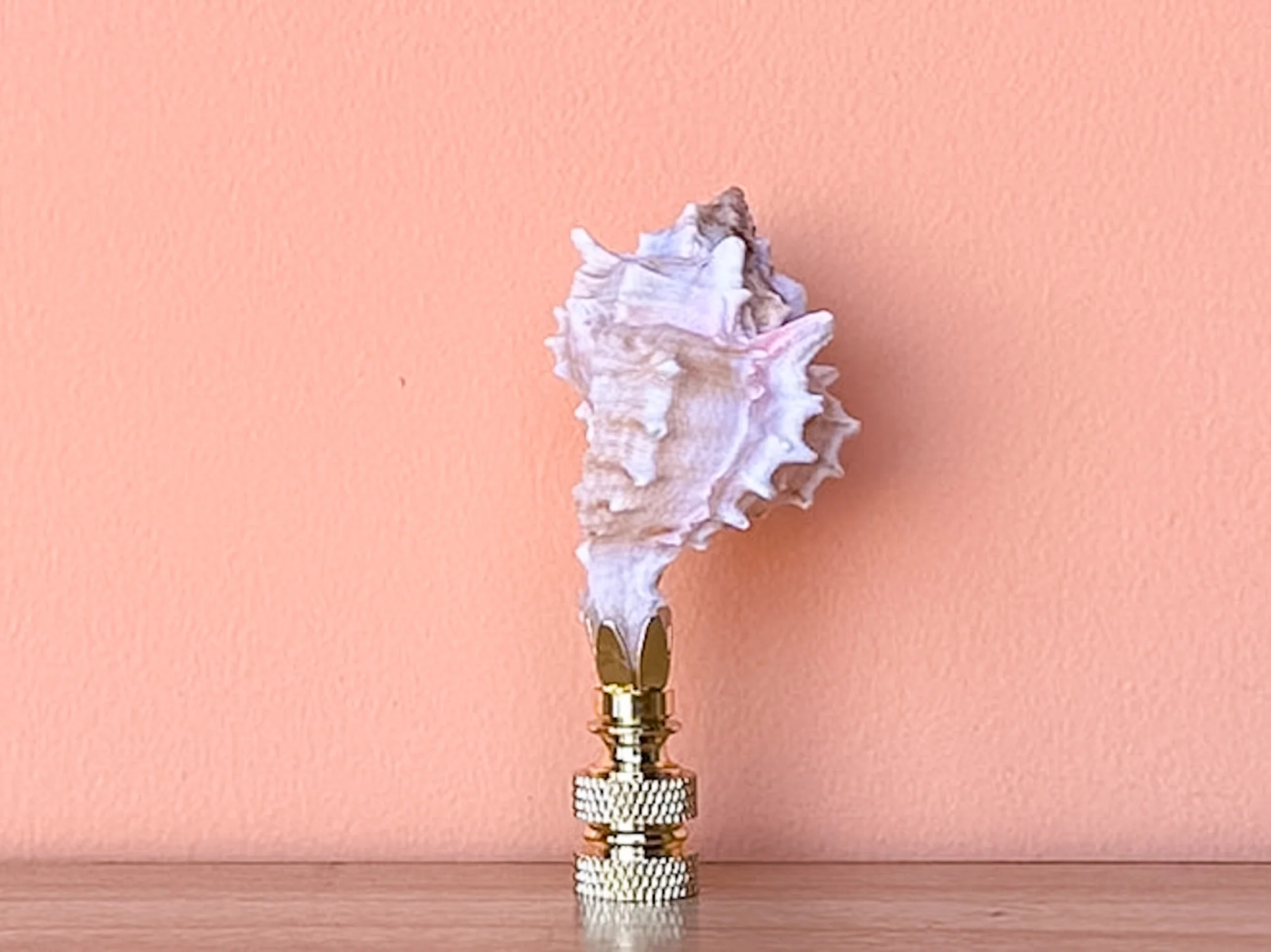 Petite Murex Natural Shell Finial - Image 2