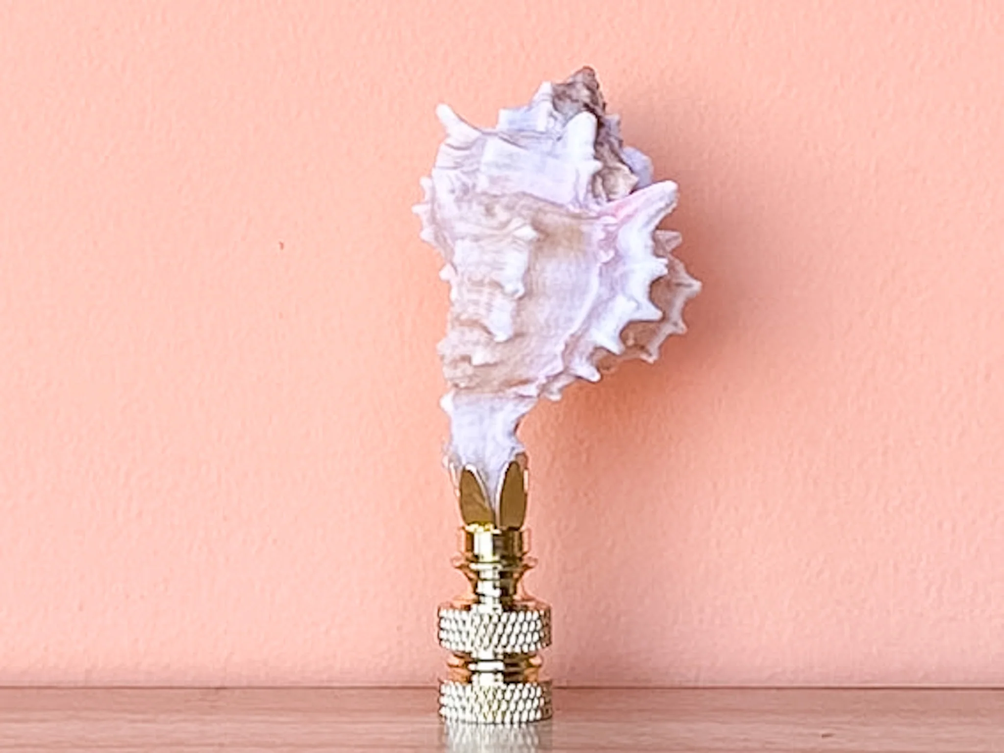 Petite Murex Natural Shell Finial - Image 3