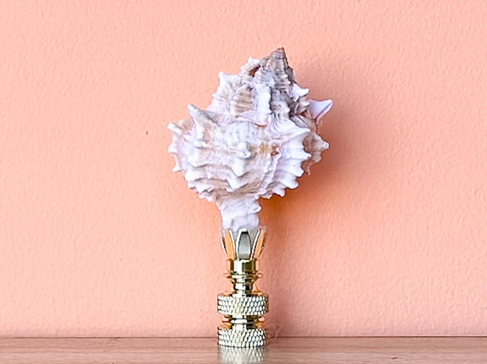 Petite Murex Natural Shell Finial - Image 4