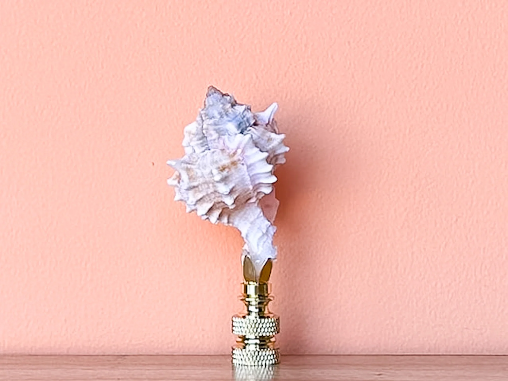 Petite Murex Natural Shell Finial - Image 5