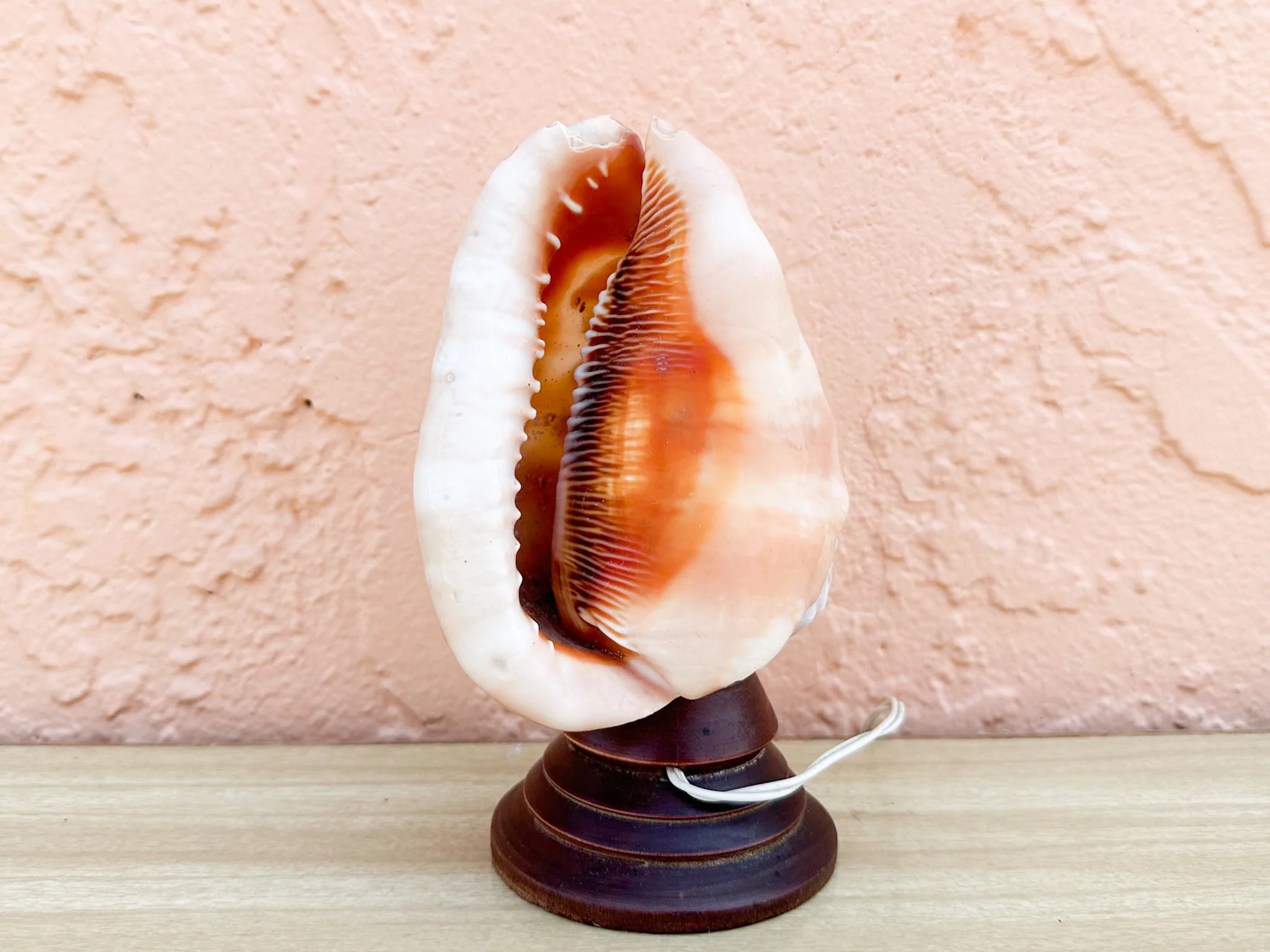 Petite Shell Cameo Lamp - Image 3