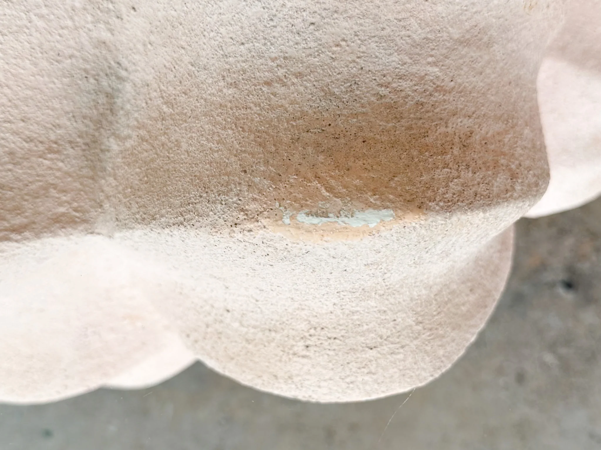 Plaster Conch Shell Coffee Table - Image 5