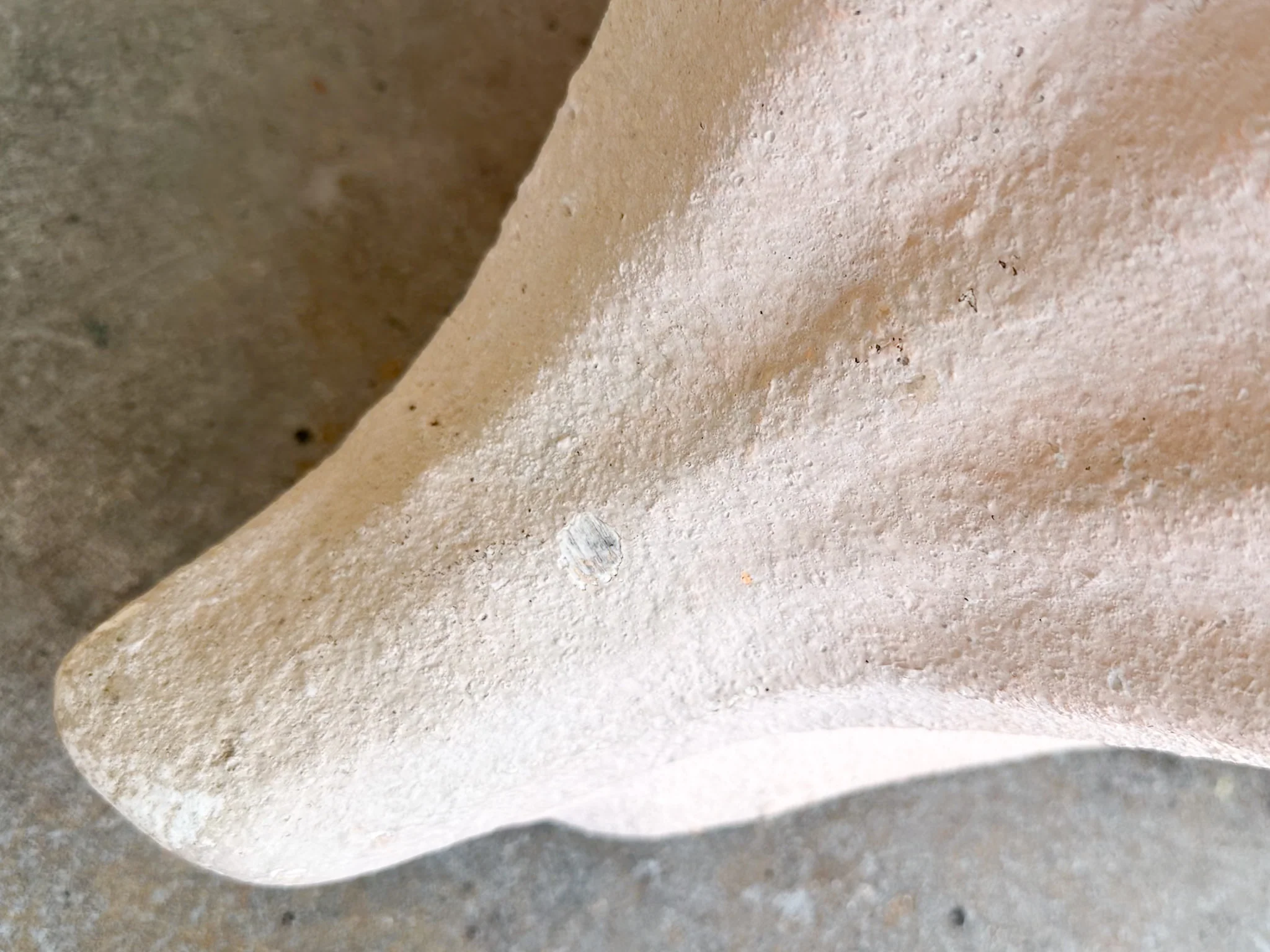 Plaster Conch Shell Coffee Table - Image 6