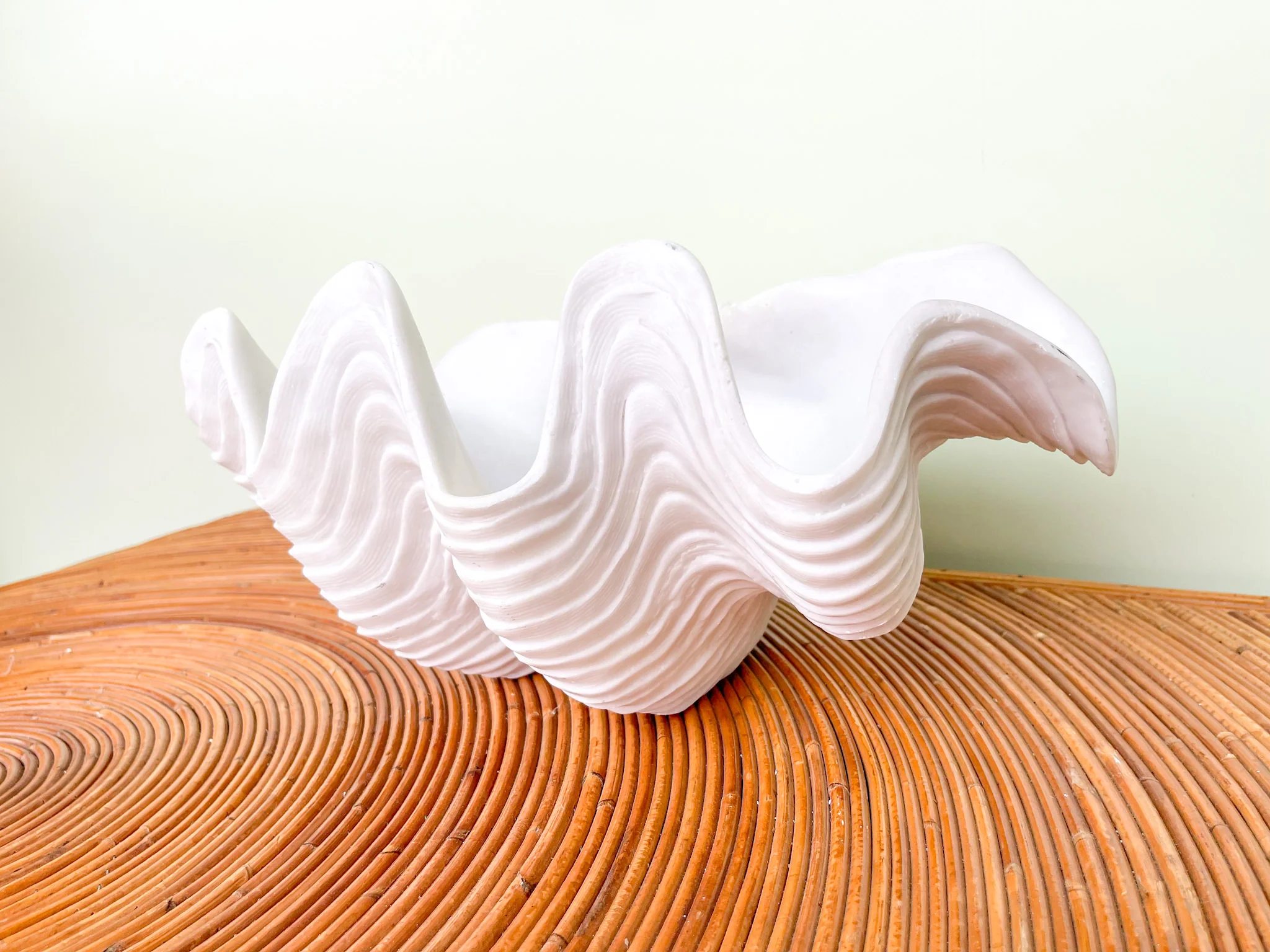 Plaster Shell - Image 2