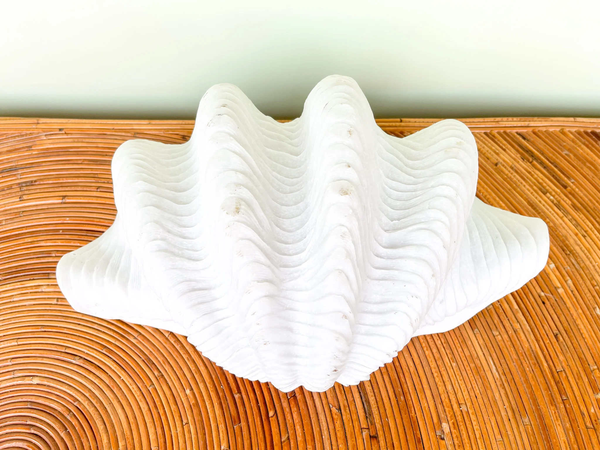 Plaster Shell - Image 4