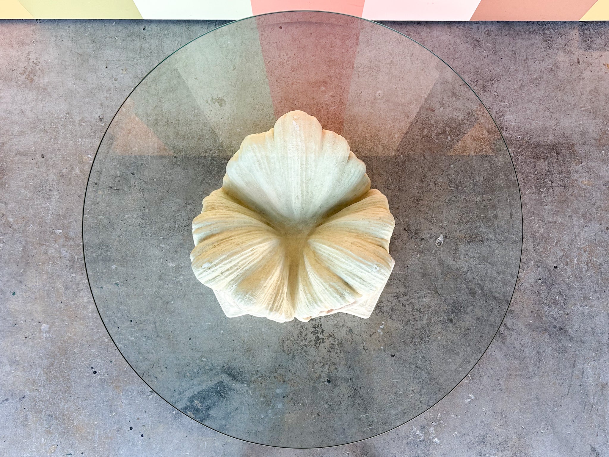 Plaster Shell Coffee Table - Image 3