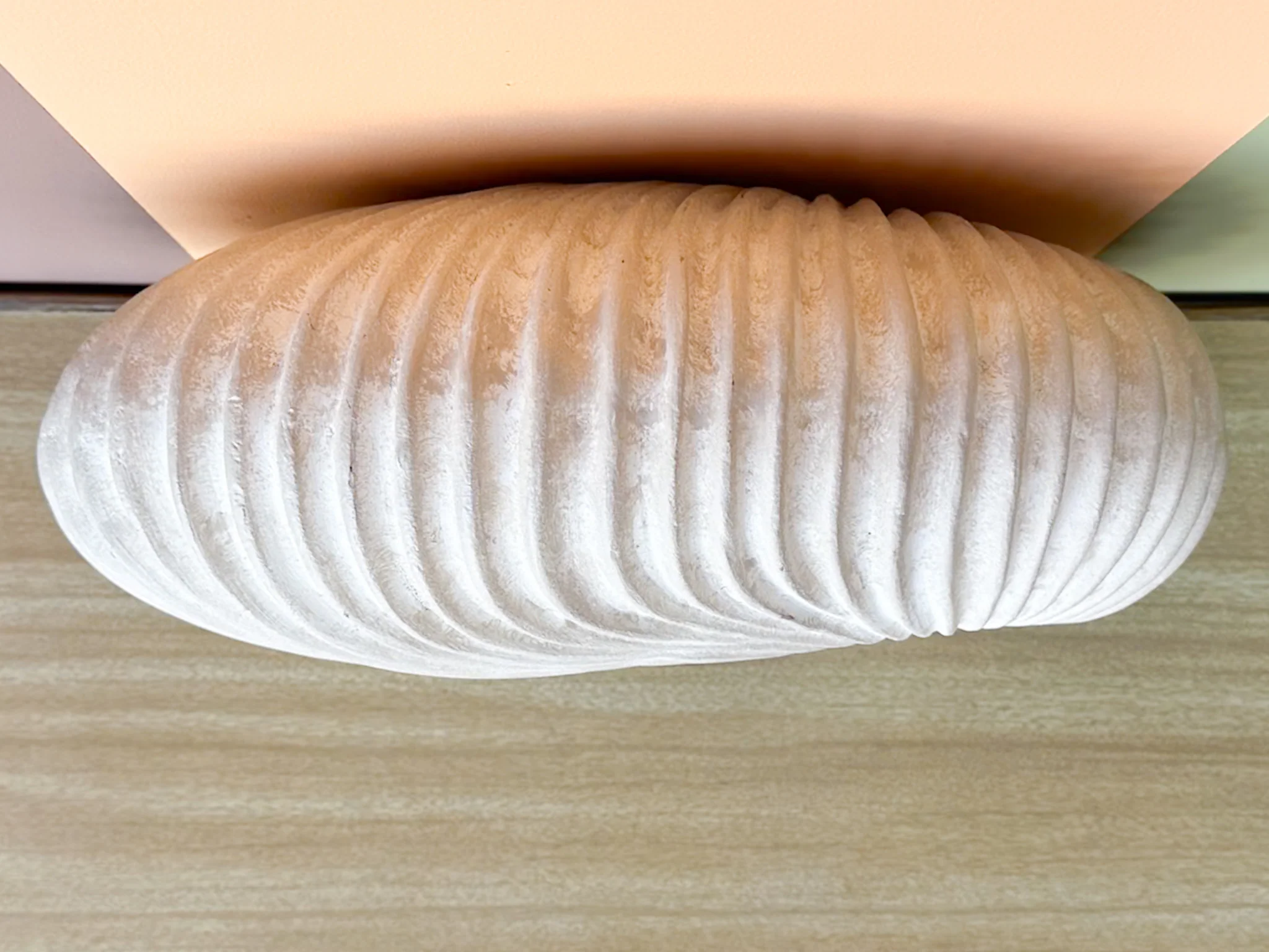 Plaster Shell Sculpture - Image 6