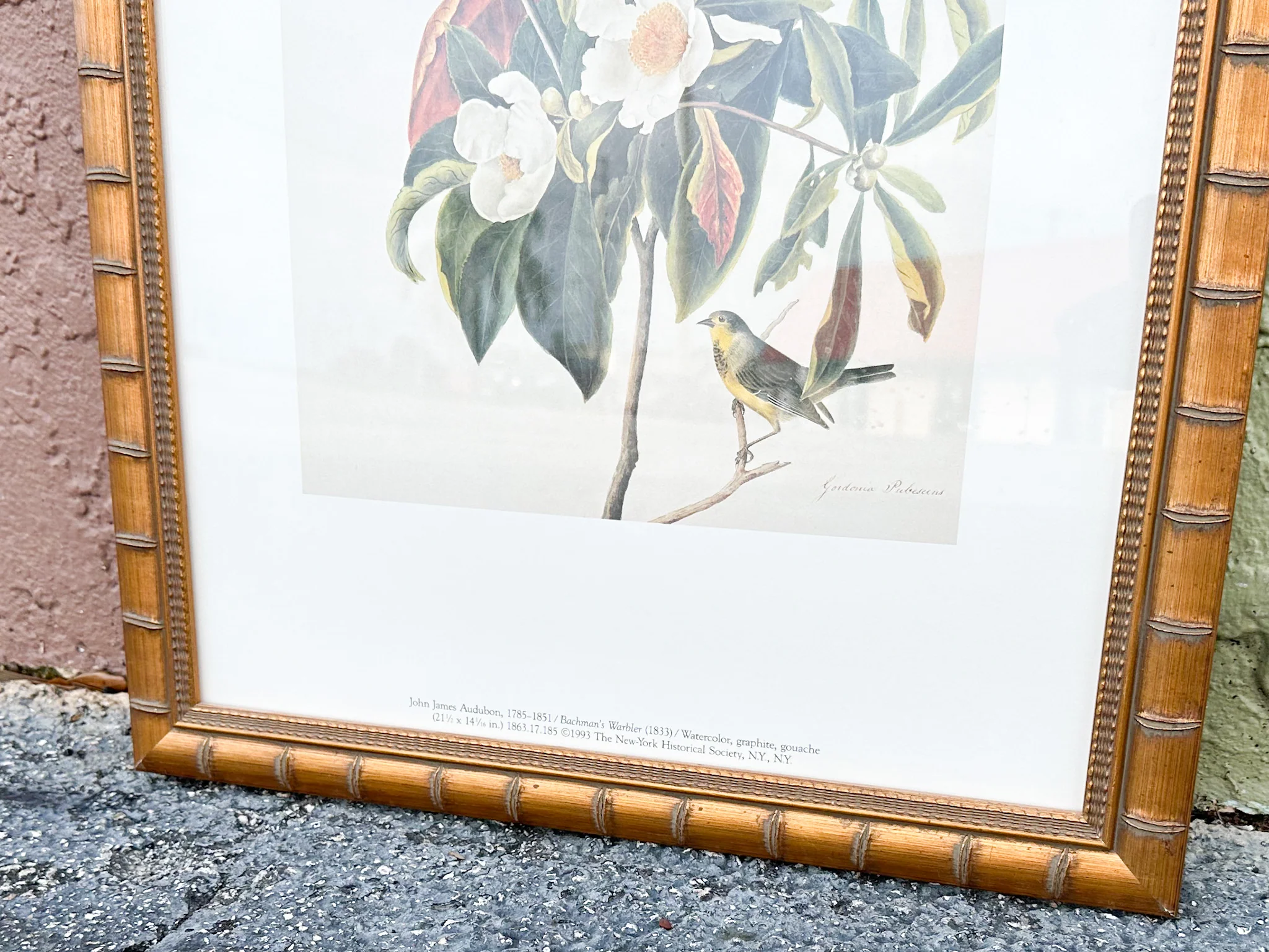 Pretty Audubon Framed Print - Image 4