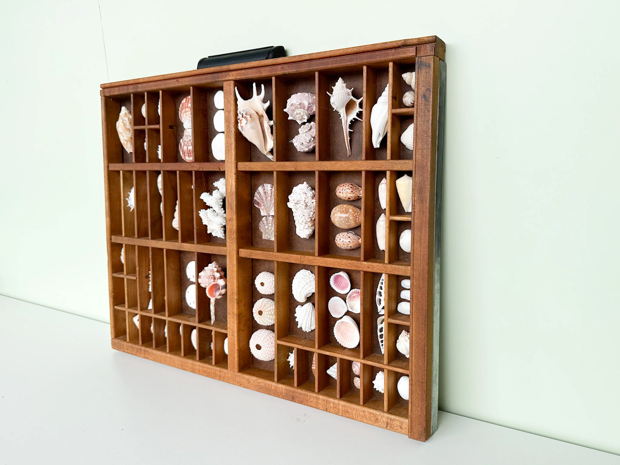 Printers Tray Shell Display - Image 3