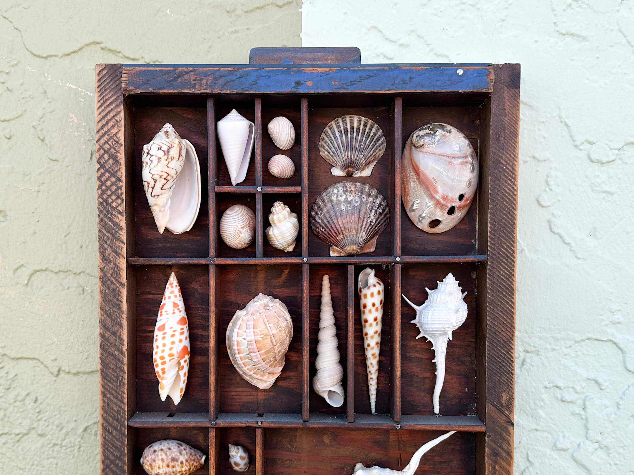 Printers Tray Shell Display - Image 3