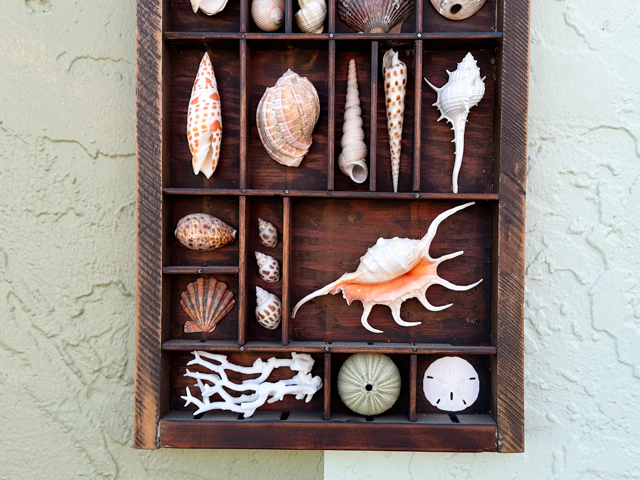 Printers Tray Shell Display - Image 4