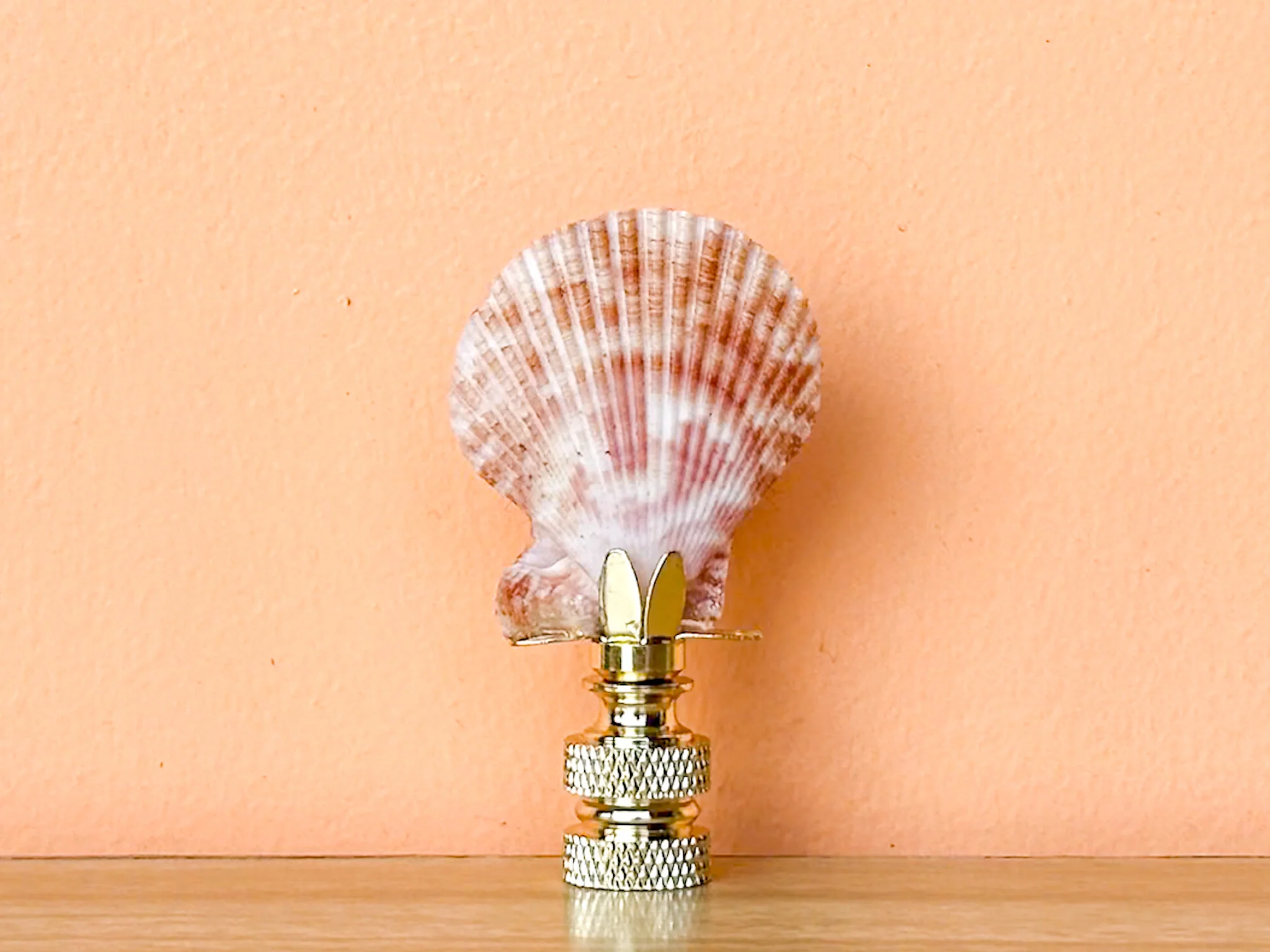 Scallop Shell Finial - Image 5