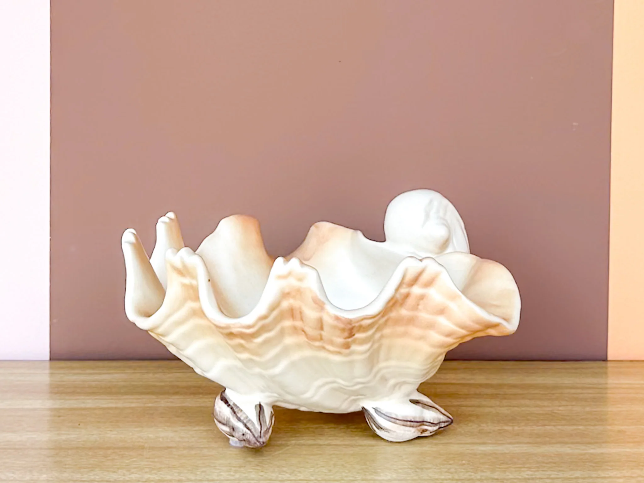 Seashell Dish - Image 6