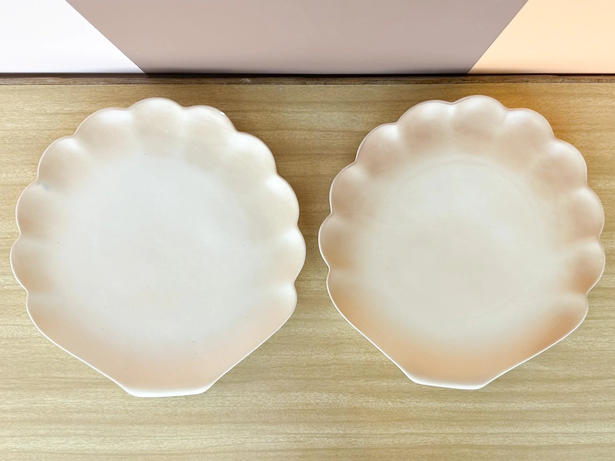 Seashell Dish Set - Image 10