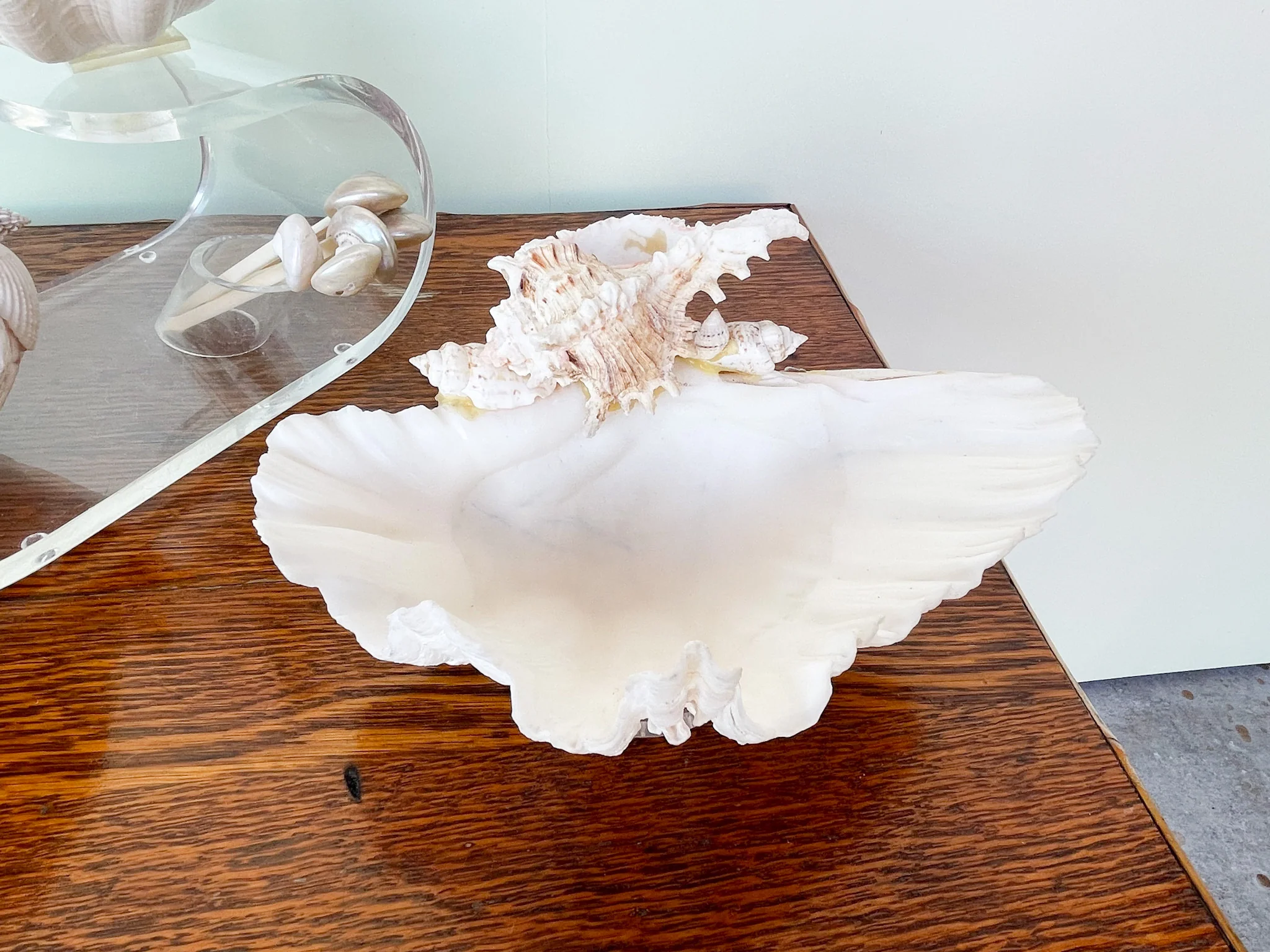 Seashell and Lucite Serving Set - Image 4