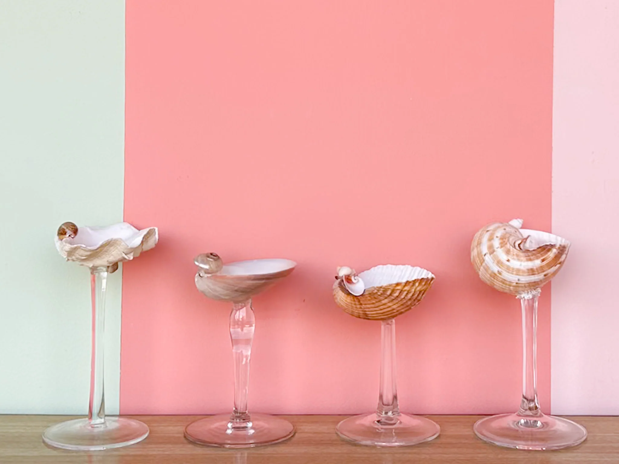 Set of Four Shell Chic Coupes - Image 4