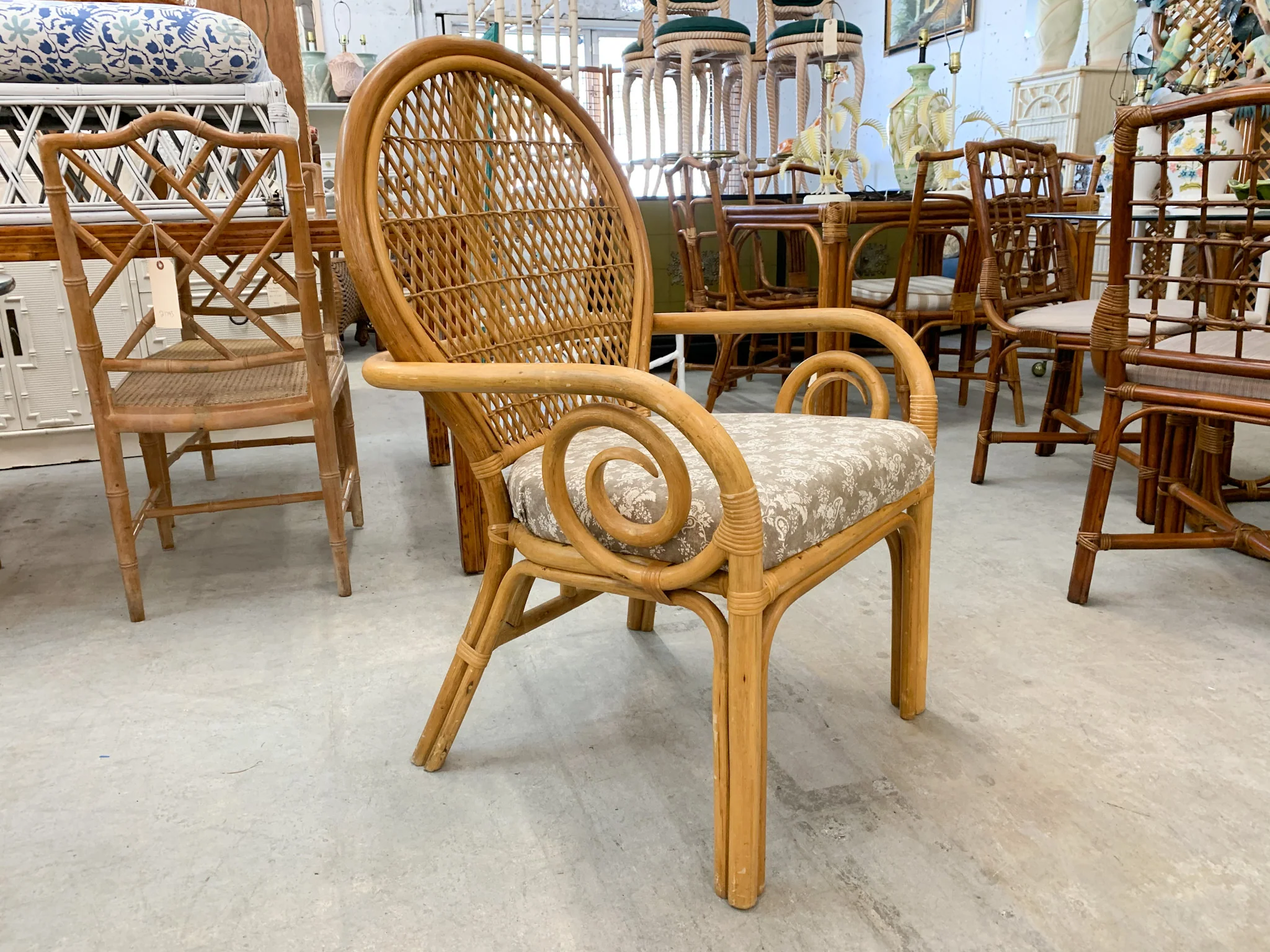 Set of Four Balloon Back Rattan Chairs and Table - Image 5