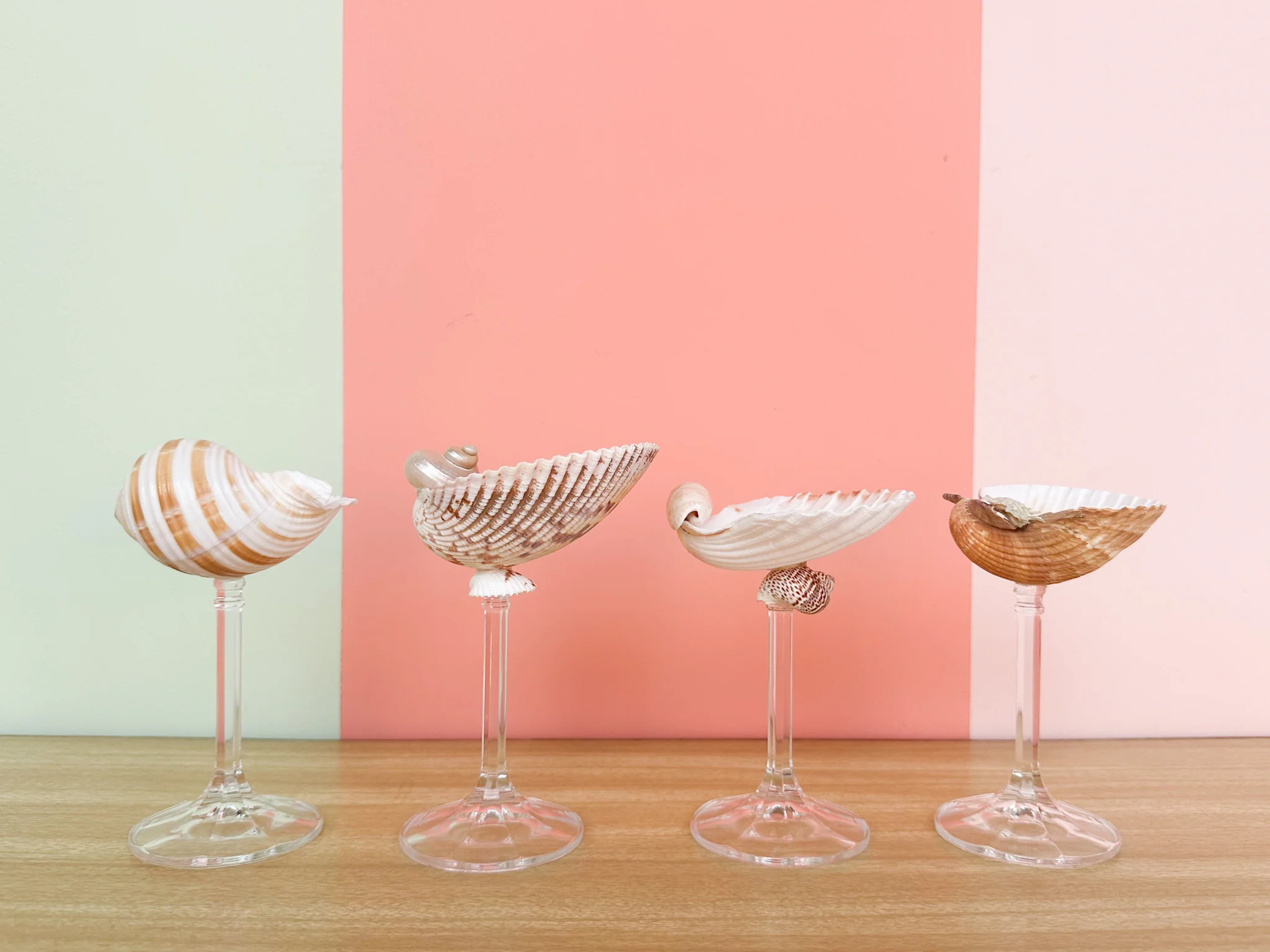 Set of Four Chic Shell Coupes - Image 3