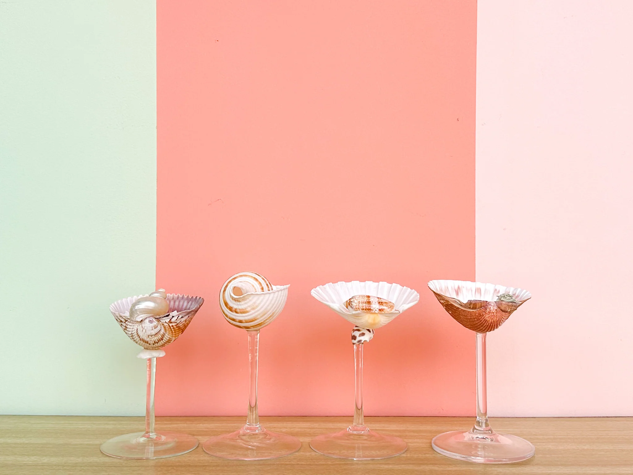 Set of Four Shell Chic Coupes - Image 3