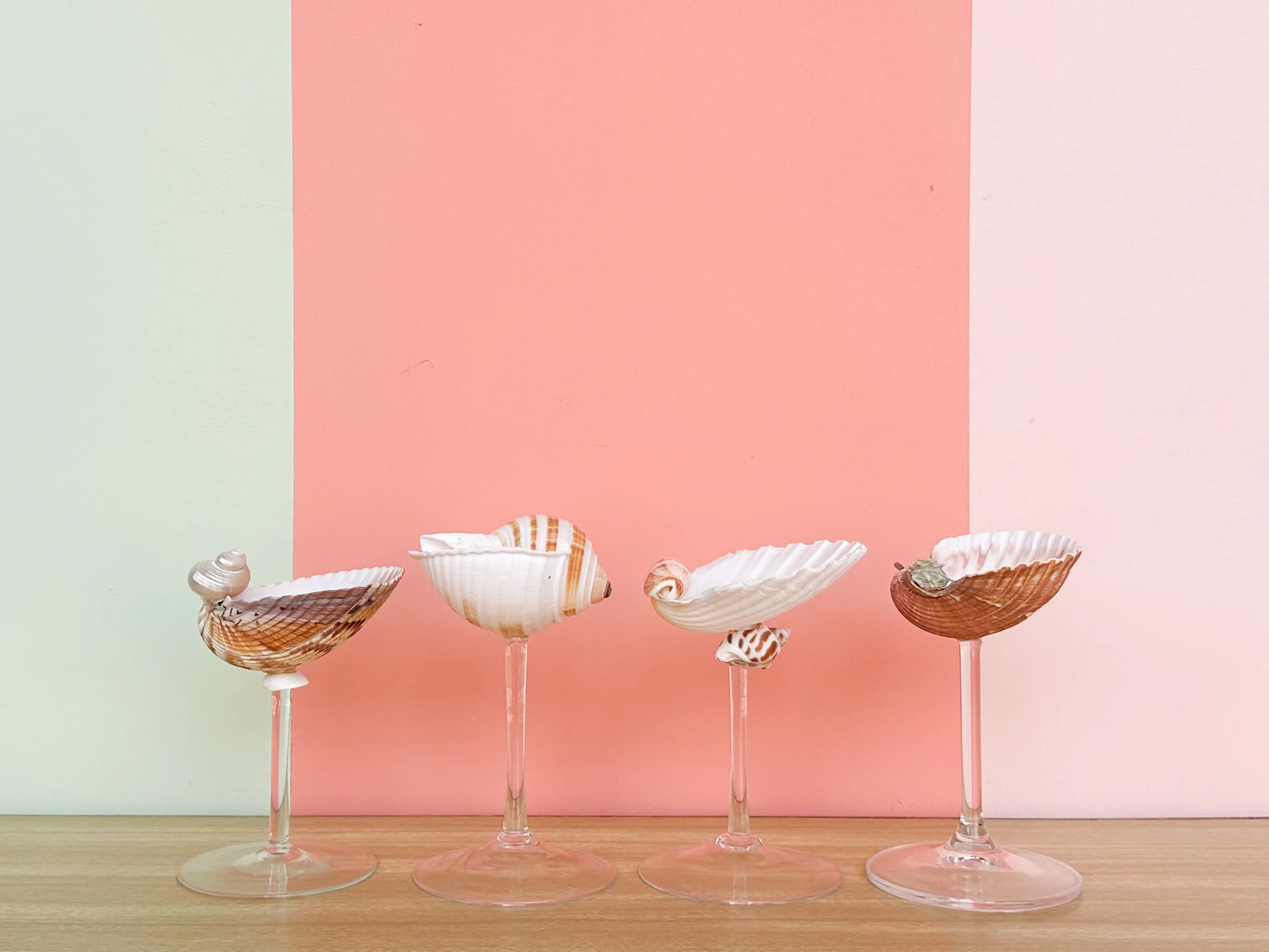 Set of Four Shell Chic Coupes - Image 4