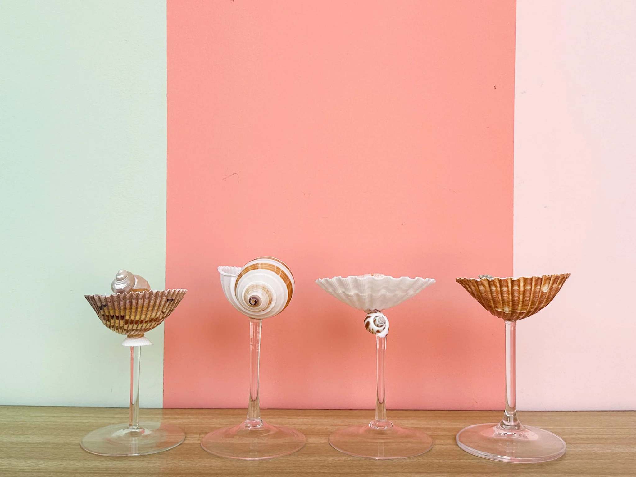 Set of Four Shell Chic Coupes - Image 6