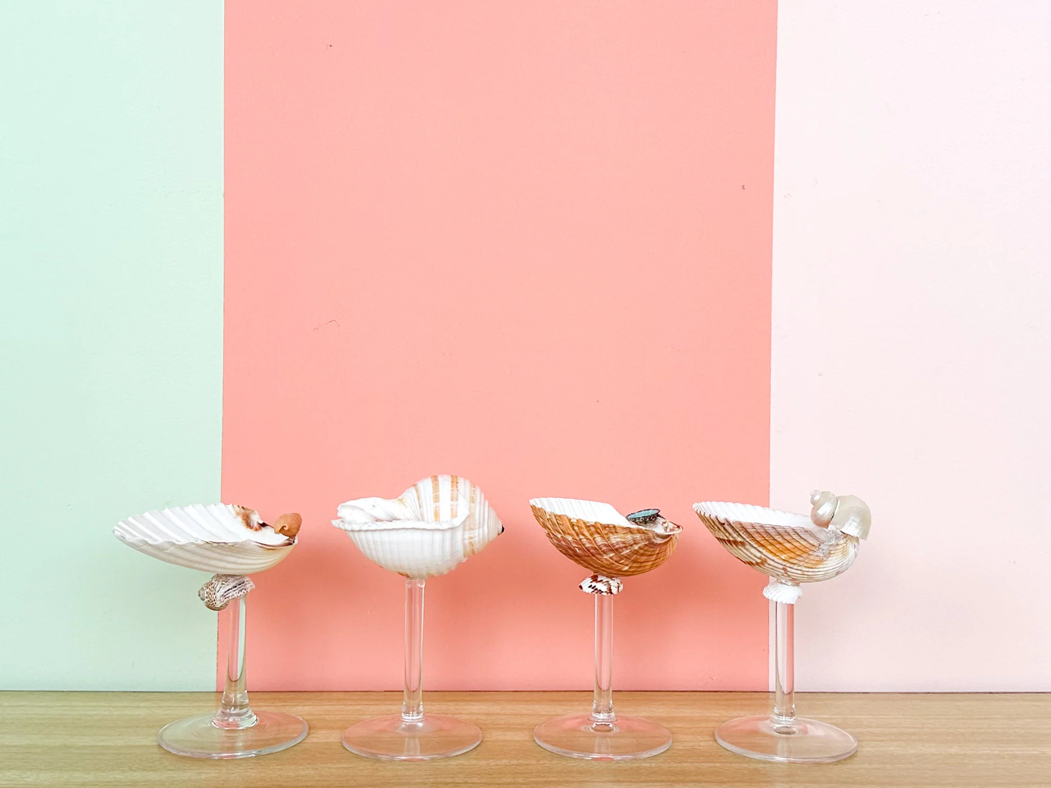 Set of Four Shell Chic Coupes - Image 5