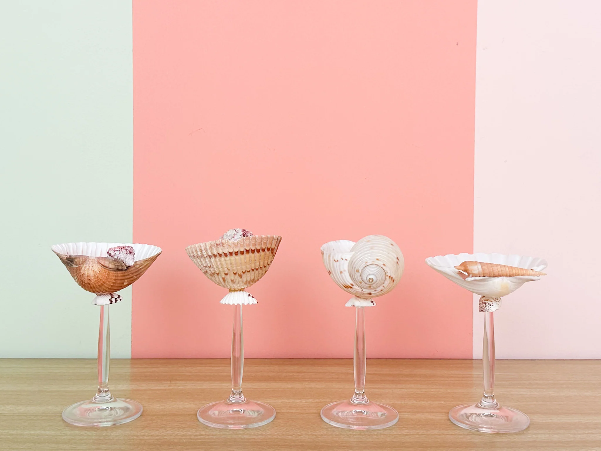Set of Four Shell Chic Coupes - Image 3