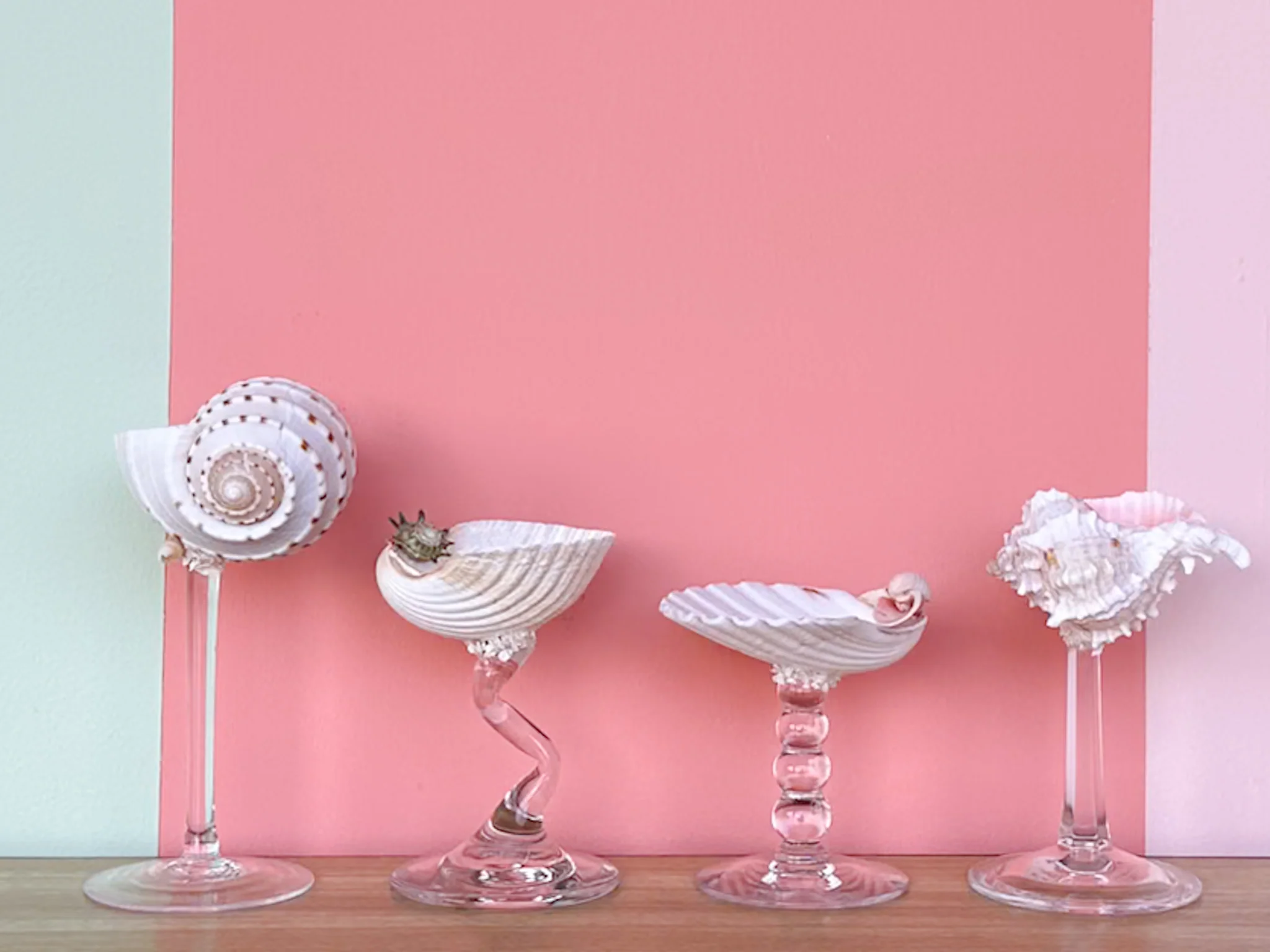 Set of Four Shell Chic Coupes - Image 2