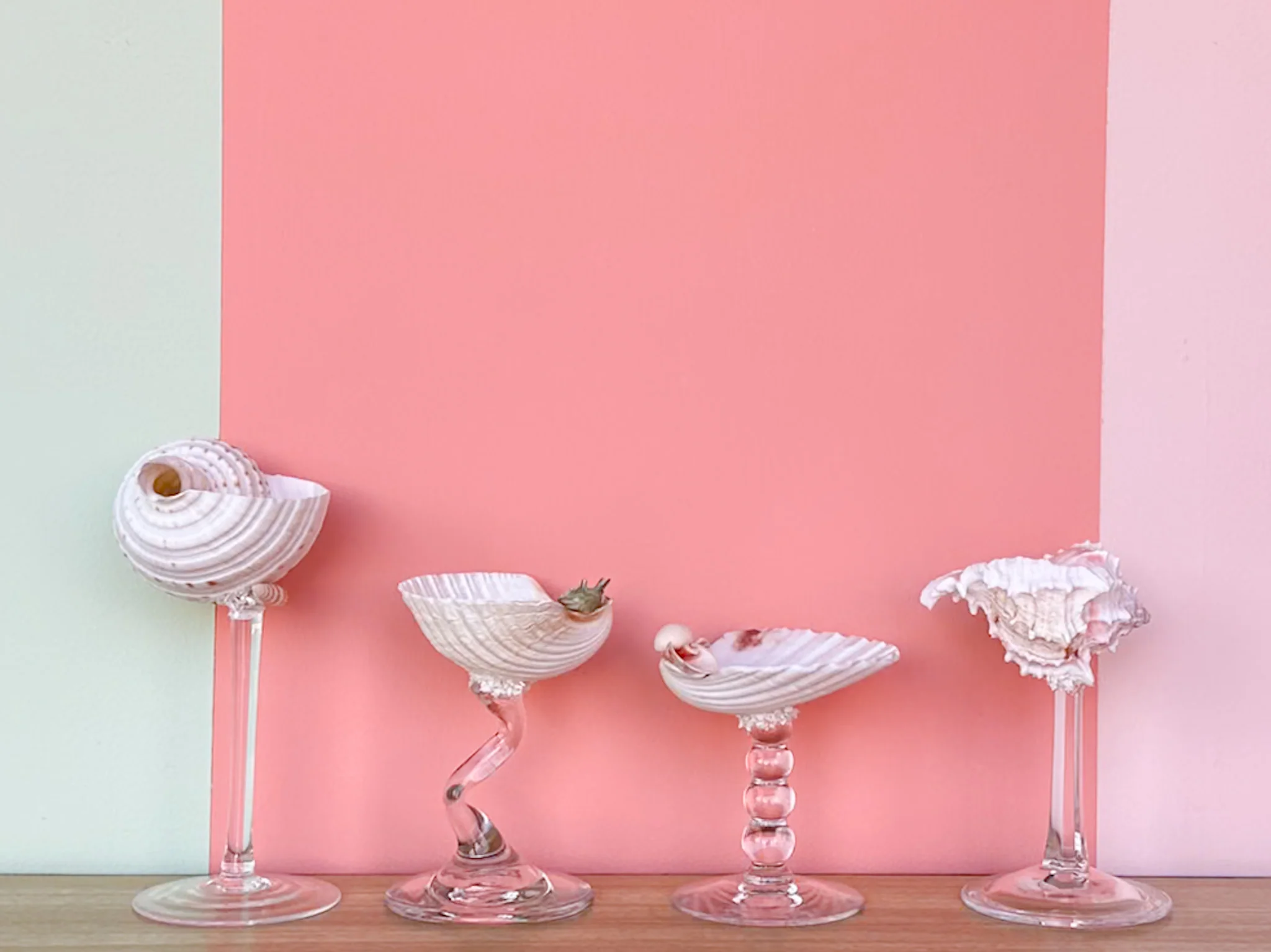 Set of Four Shell Chic Coupes - Image 4