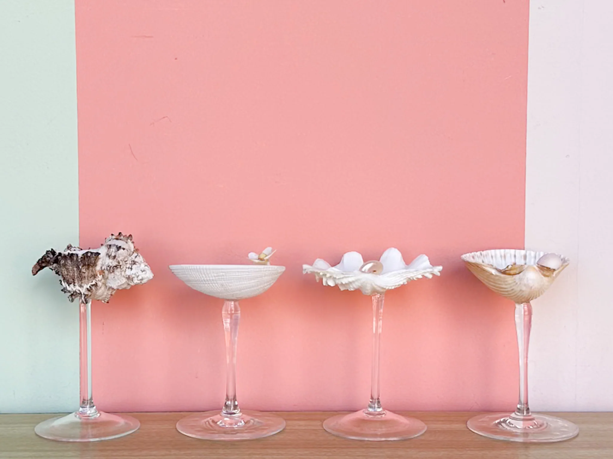 Set of Four Shell Coupes - Image 4