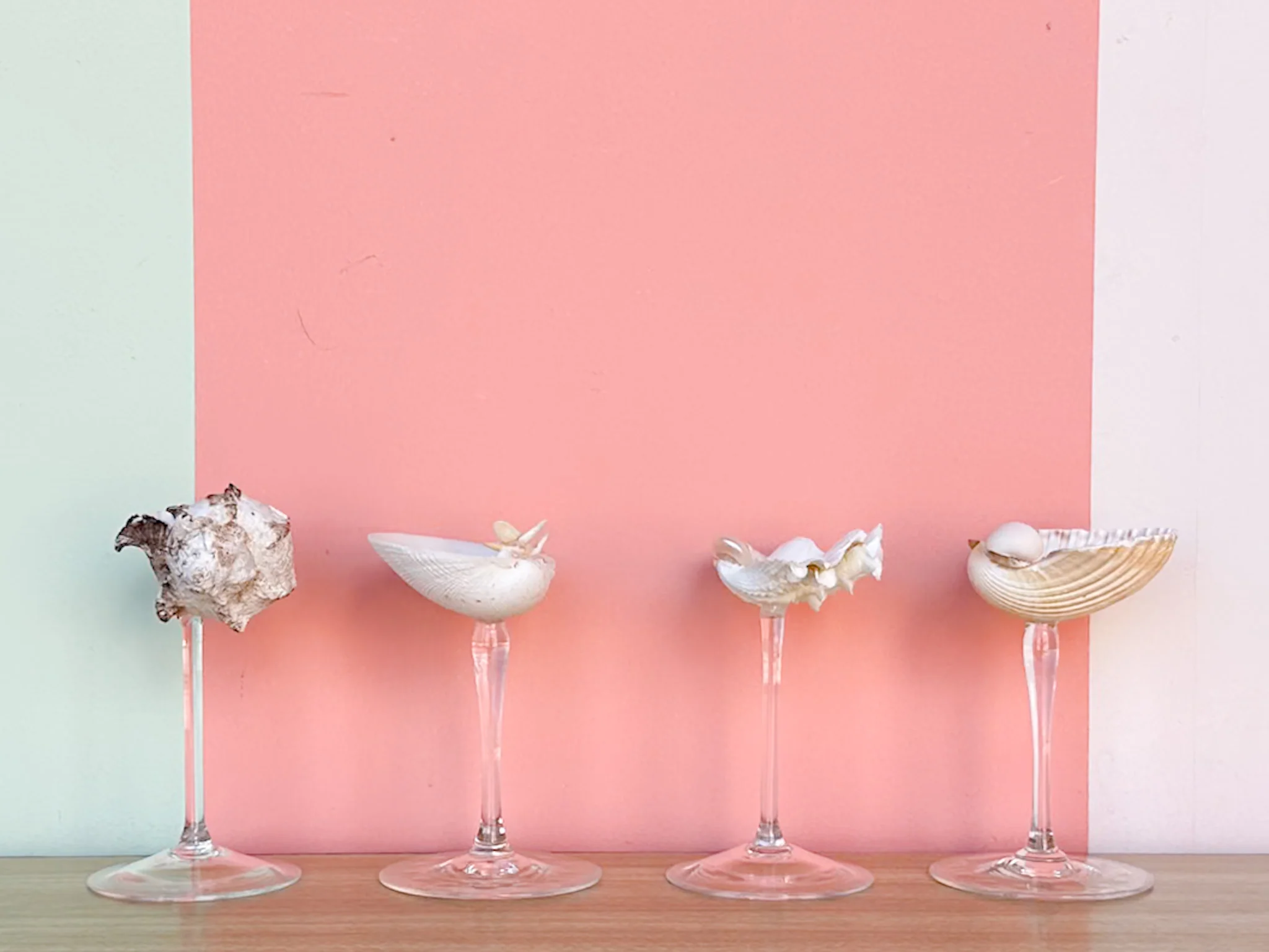 Set of Four Shell Coupes - Image 5