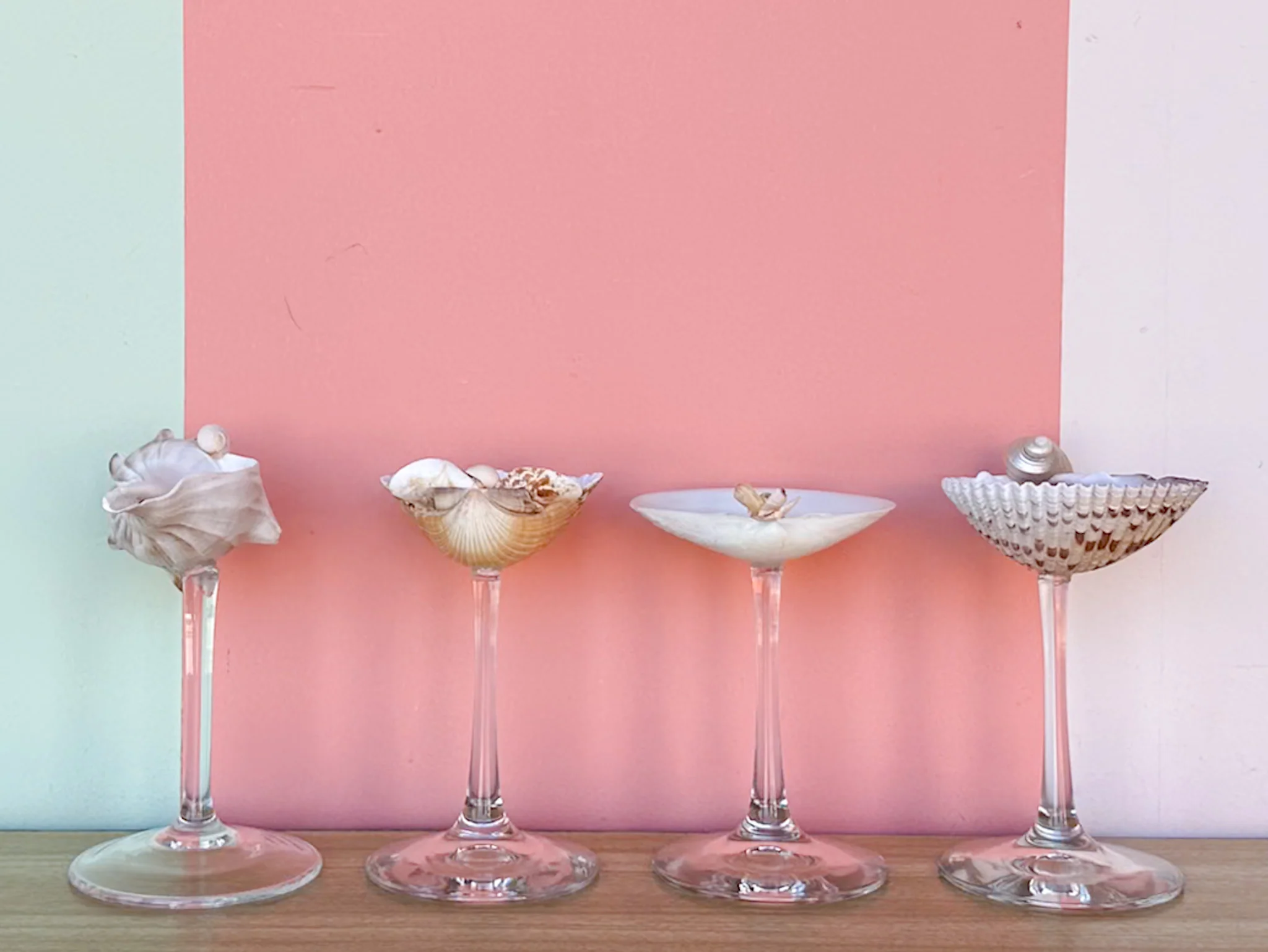 Set of Four Shell Coupes - Image 4