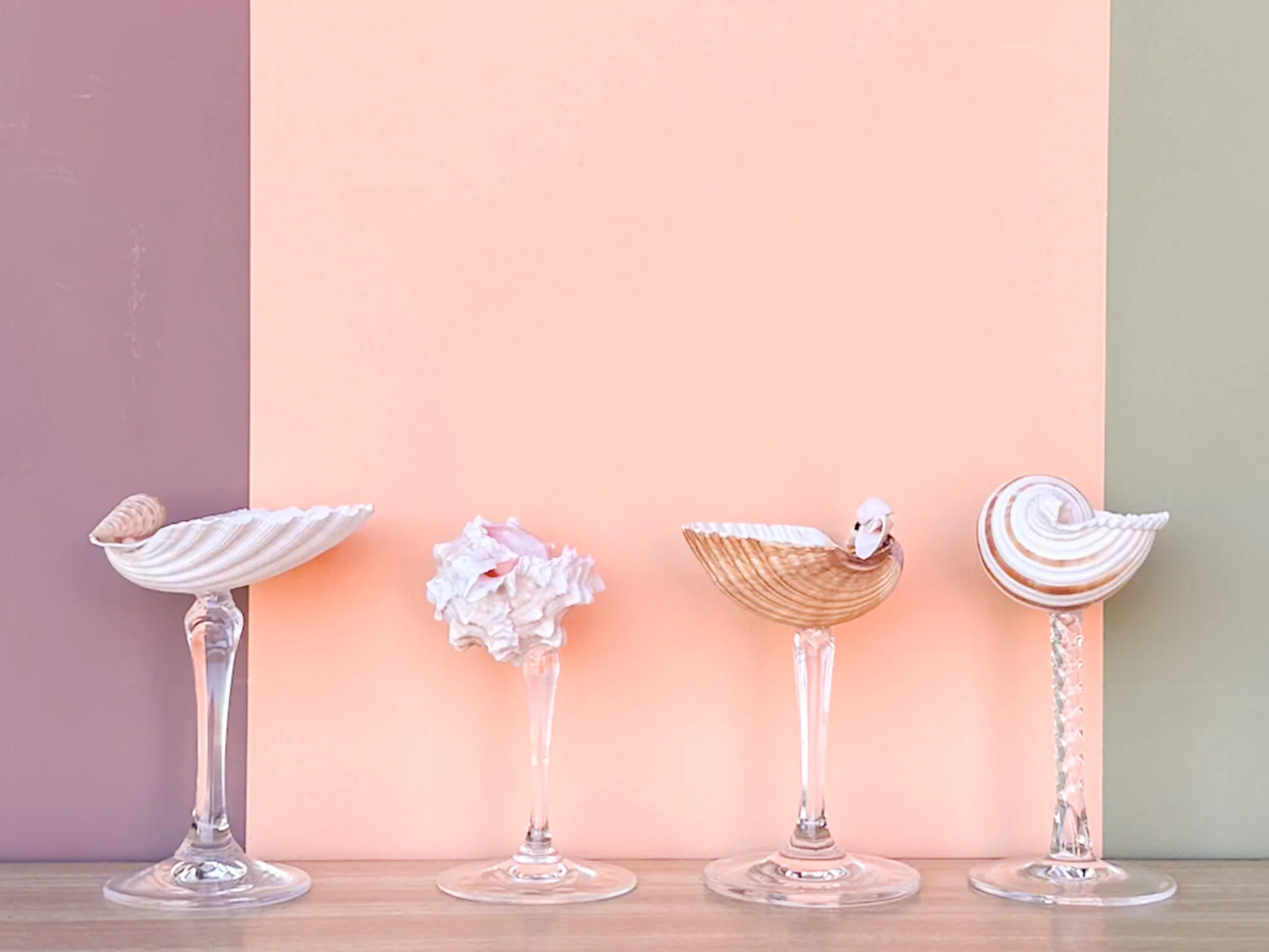 Set of Four Shell Coupes - Image 2