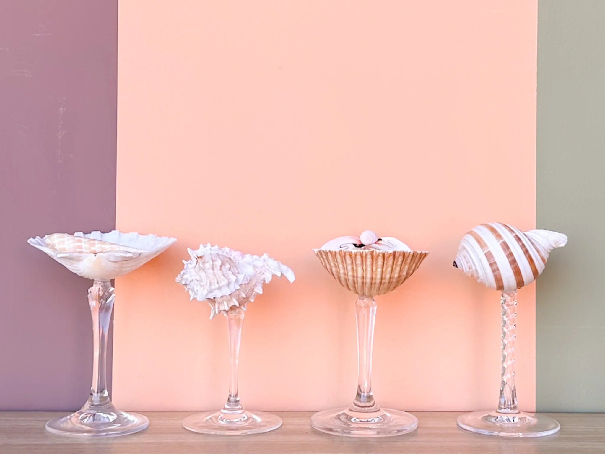 Set of Four Shell Coupes - Image 3