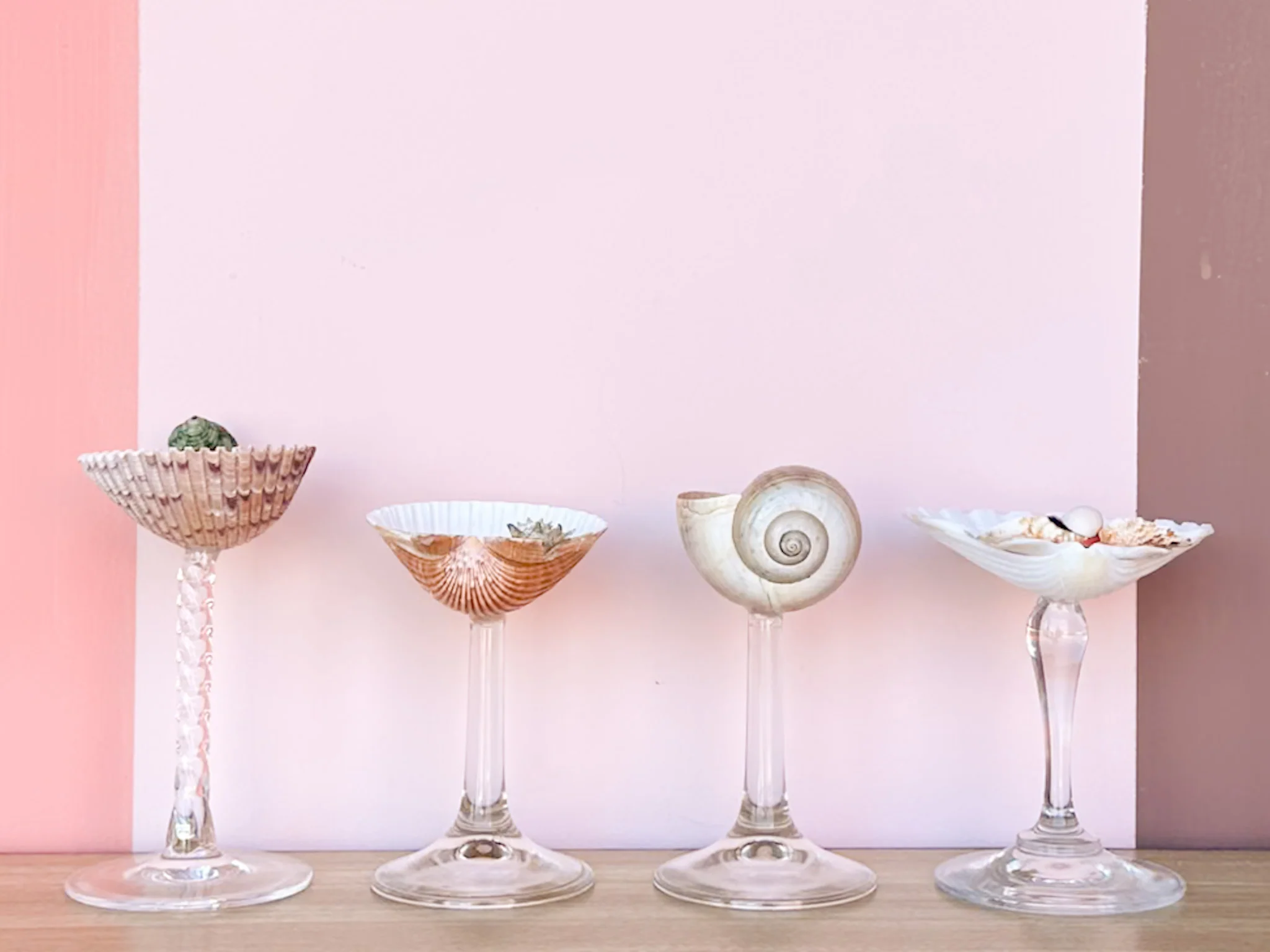 Set of Four Shell Coupes - Image 2