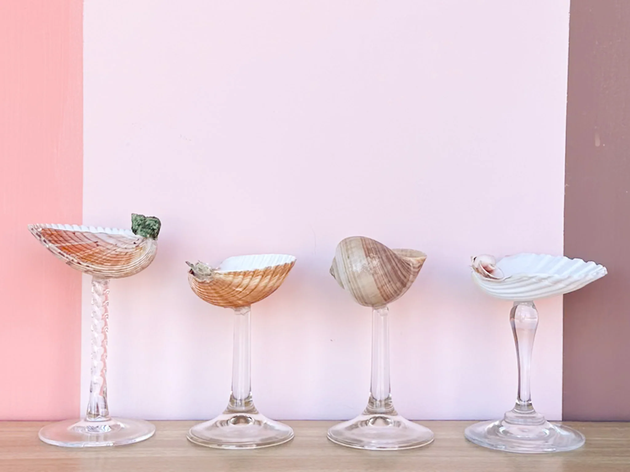 Set of Four Shell Coupes - Image 3
