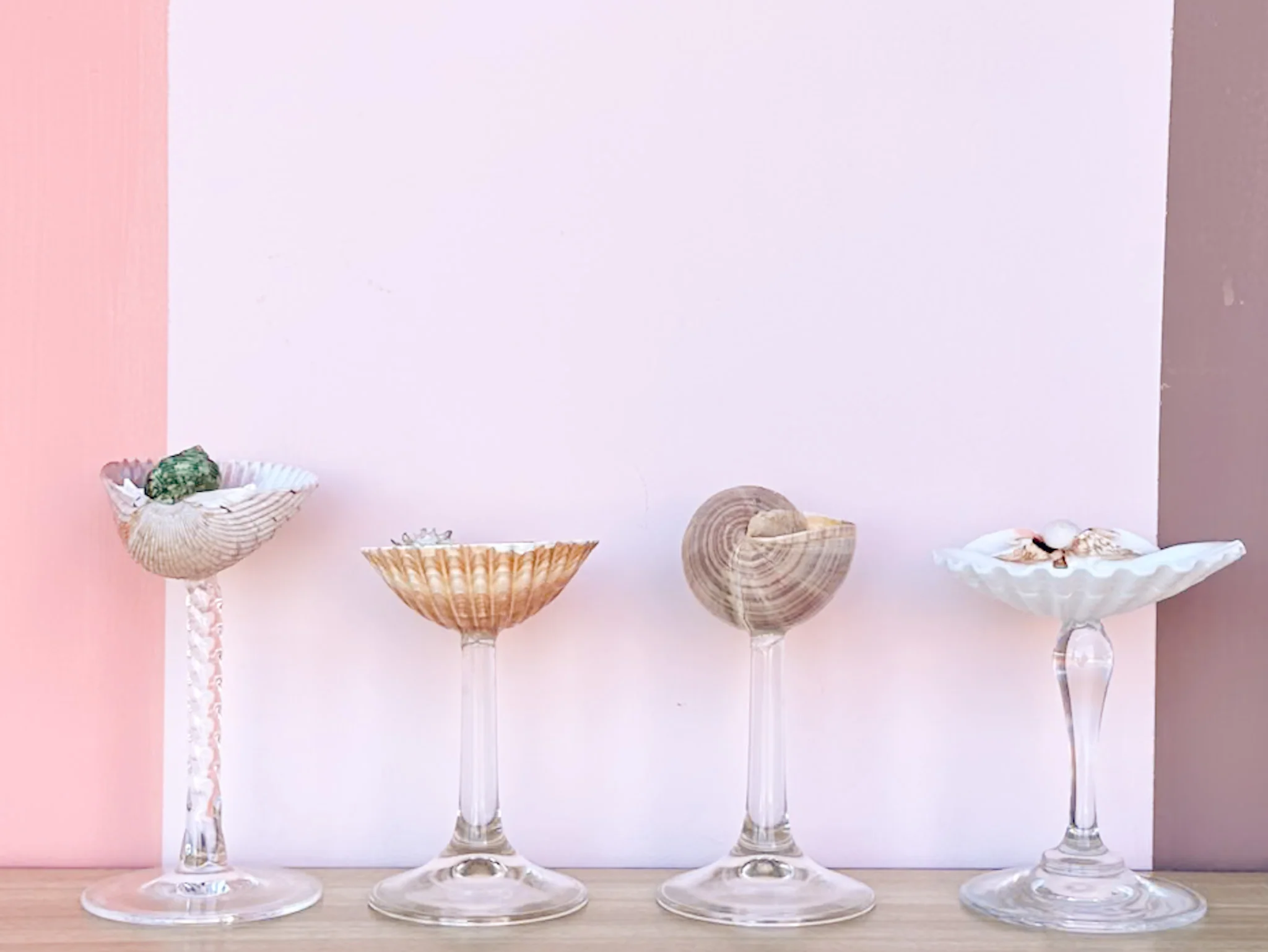 Set of Four Shell Coupes - Image 4