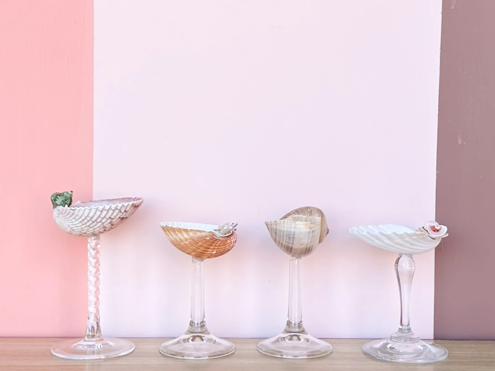Set of Four Shell Coupes - Image 5