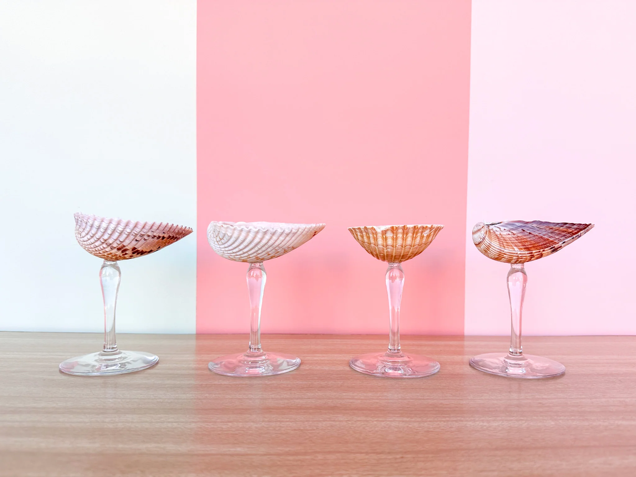 Set of Four Shell Coups - Image 4