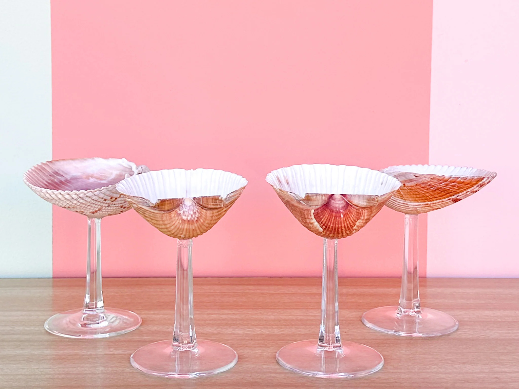 Set of Four Shell Coups - Image 4