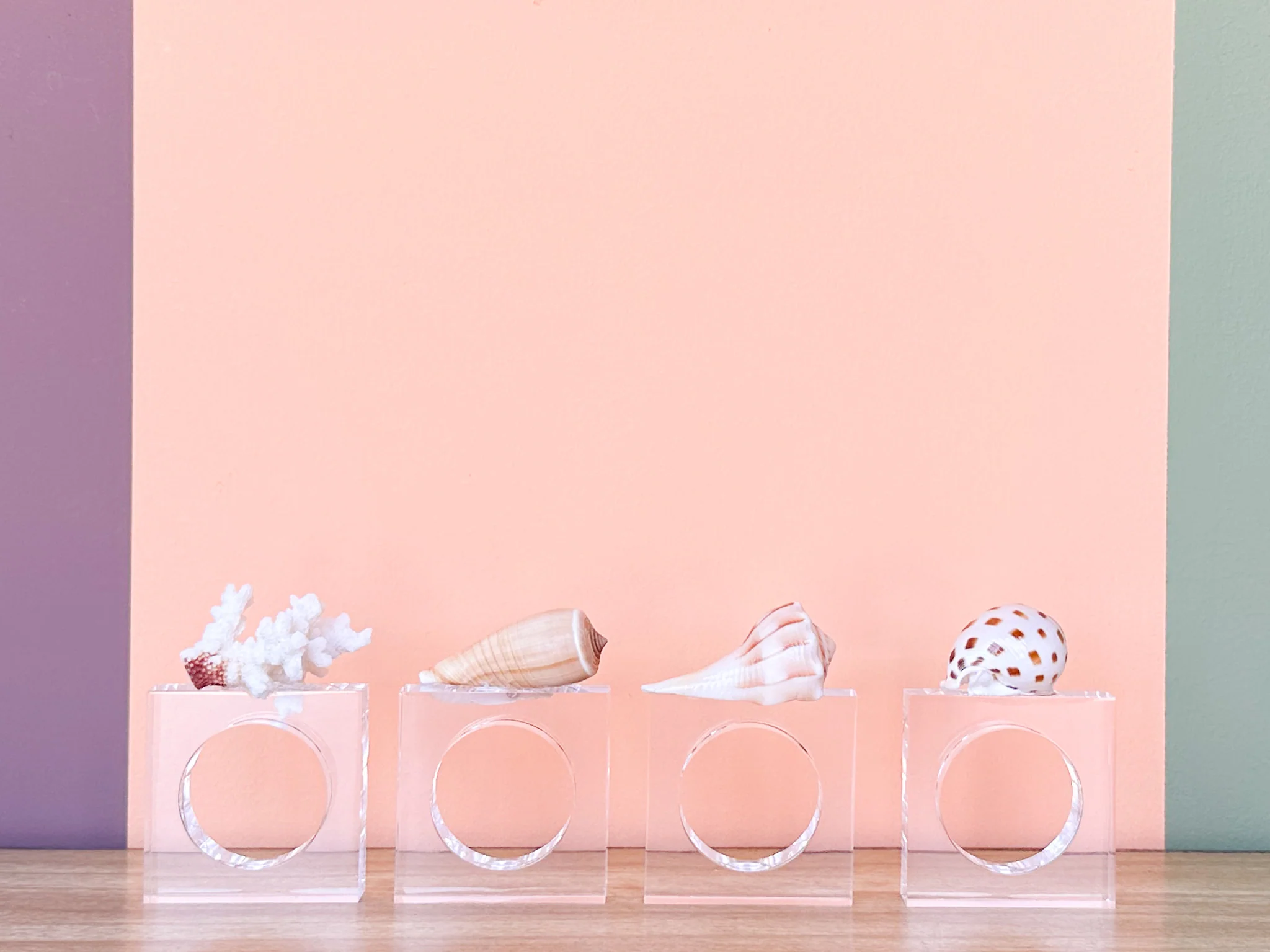 Set of Four Shell Lucite Napkin Rings - Image 3