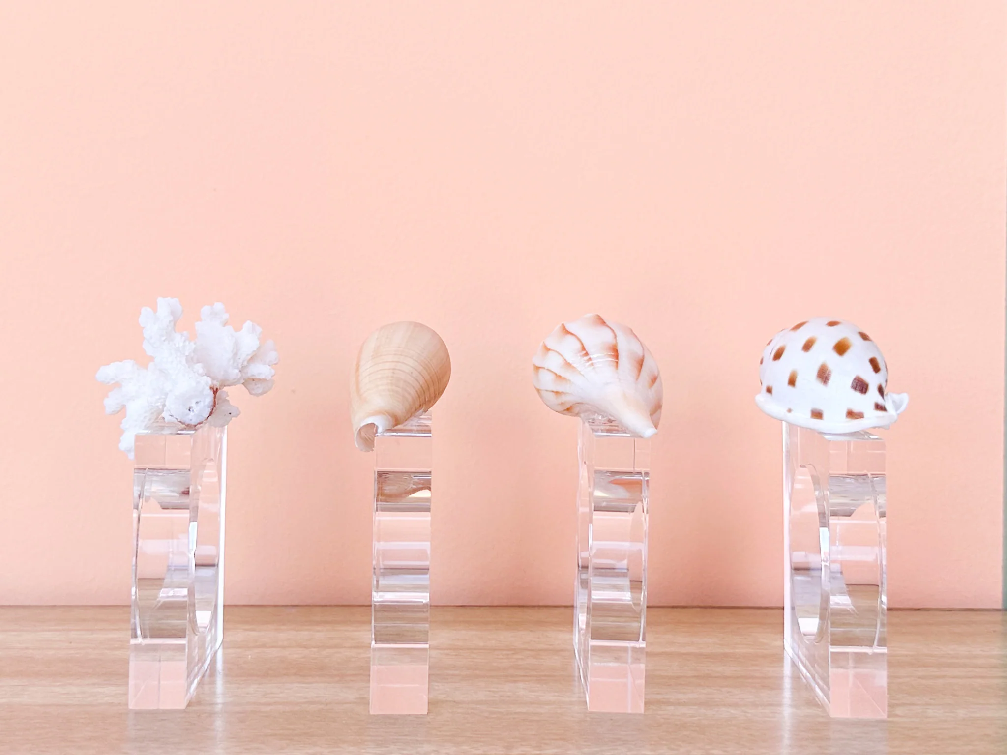 Set of Four Shell Lucite Napkin Rings - Image 4