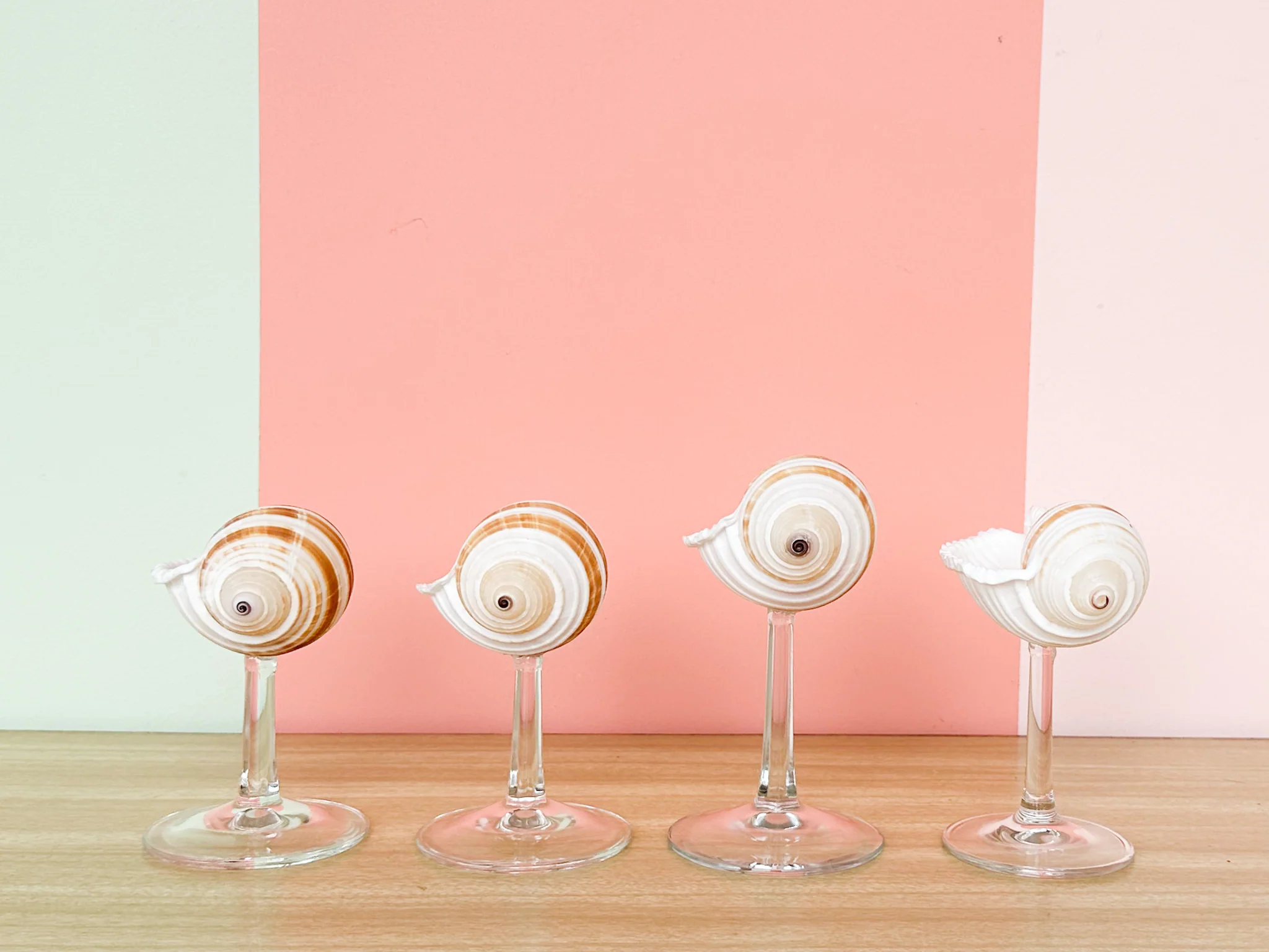 Set of Four Striped Shell Coups - Image 5