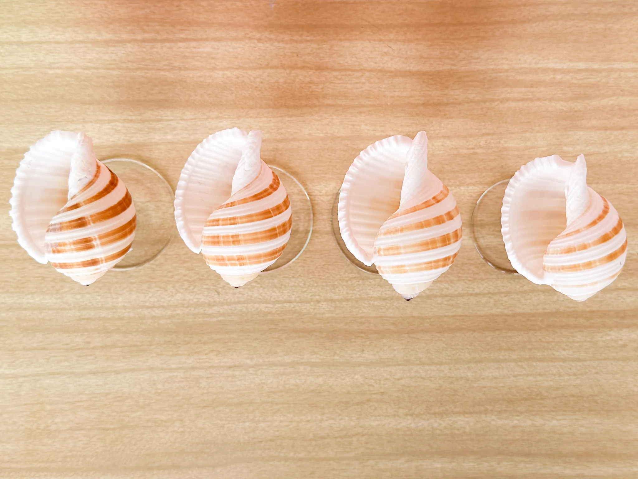 Set of Four Striped Shell Coups - Image 6