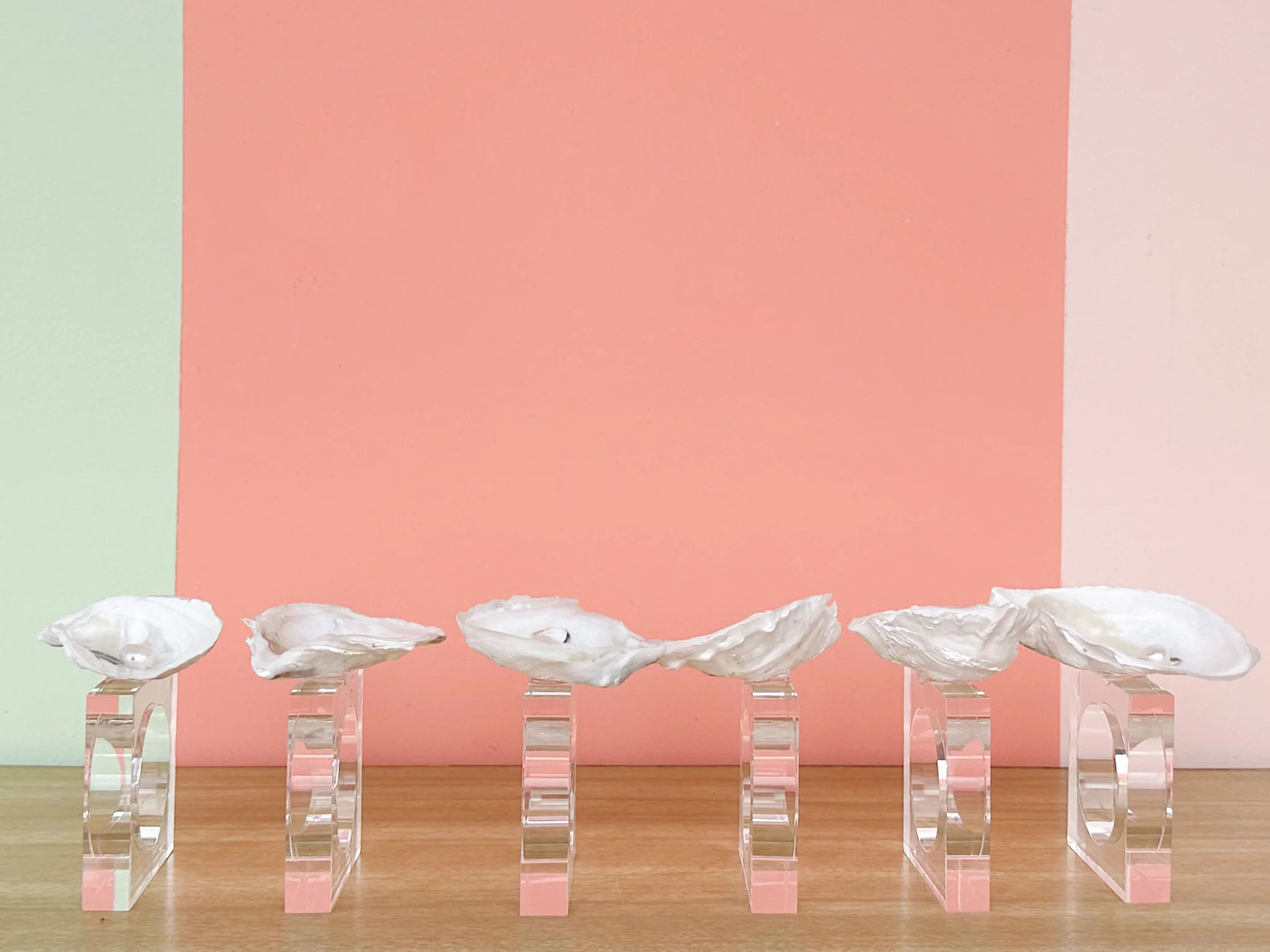 Set of Six Oyster and Pearl Napkin Rings